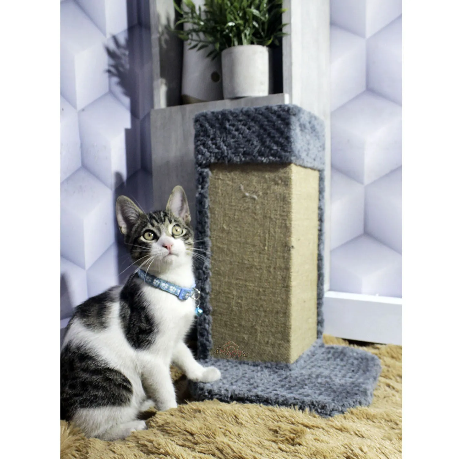 Gimnasio Rascador Para Gatos 25x25x40cm Mediano  Gris 5