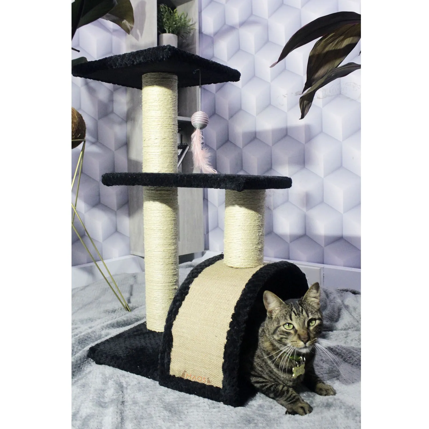 Gimnasio Rascador Para Gatos 40X40X70Cm Mediano Negro 3
