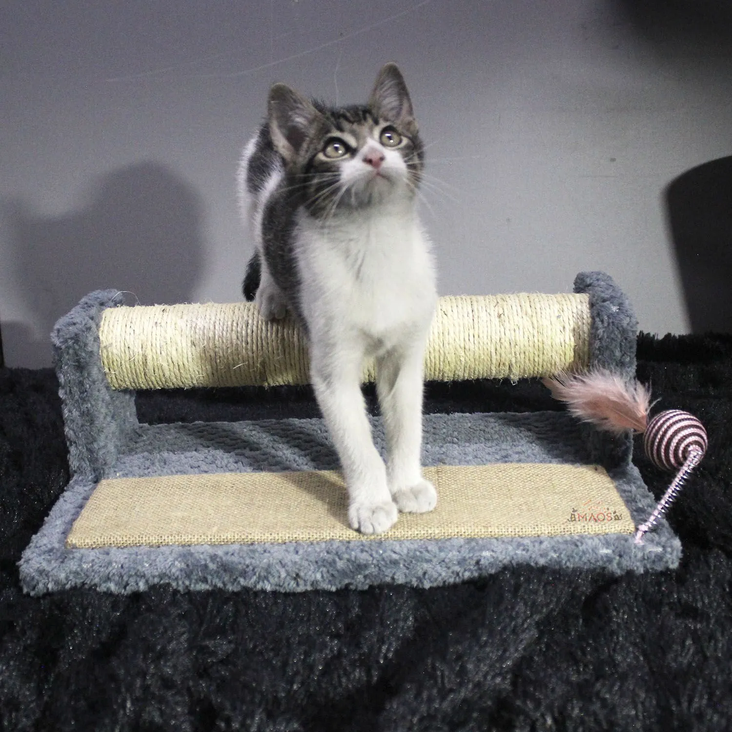 Gimnasio Rascador Para Gatos 42x25x17cm Mediano Gris 5
