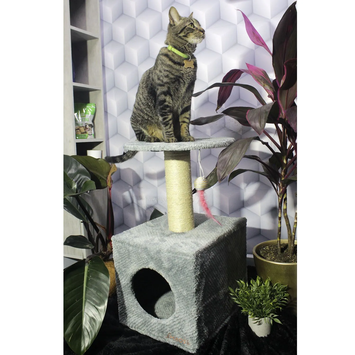Gimnasio Rascador Para Gatos 38x32x70cm Mediano Gris 3