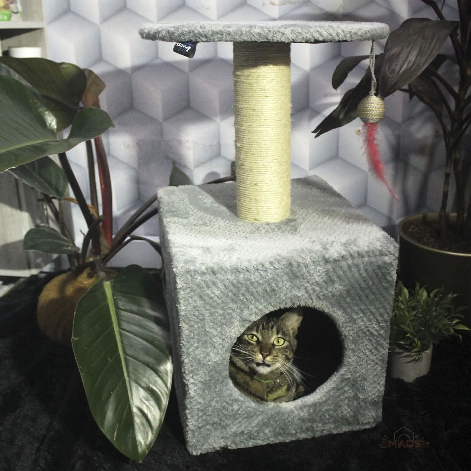Gimnasio Rascador Para Gatos 38x32x70cm Mediano Gris 4
