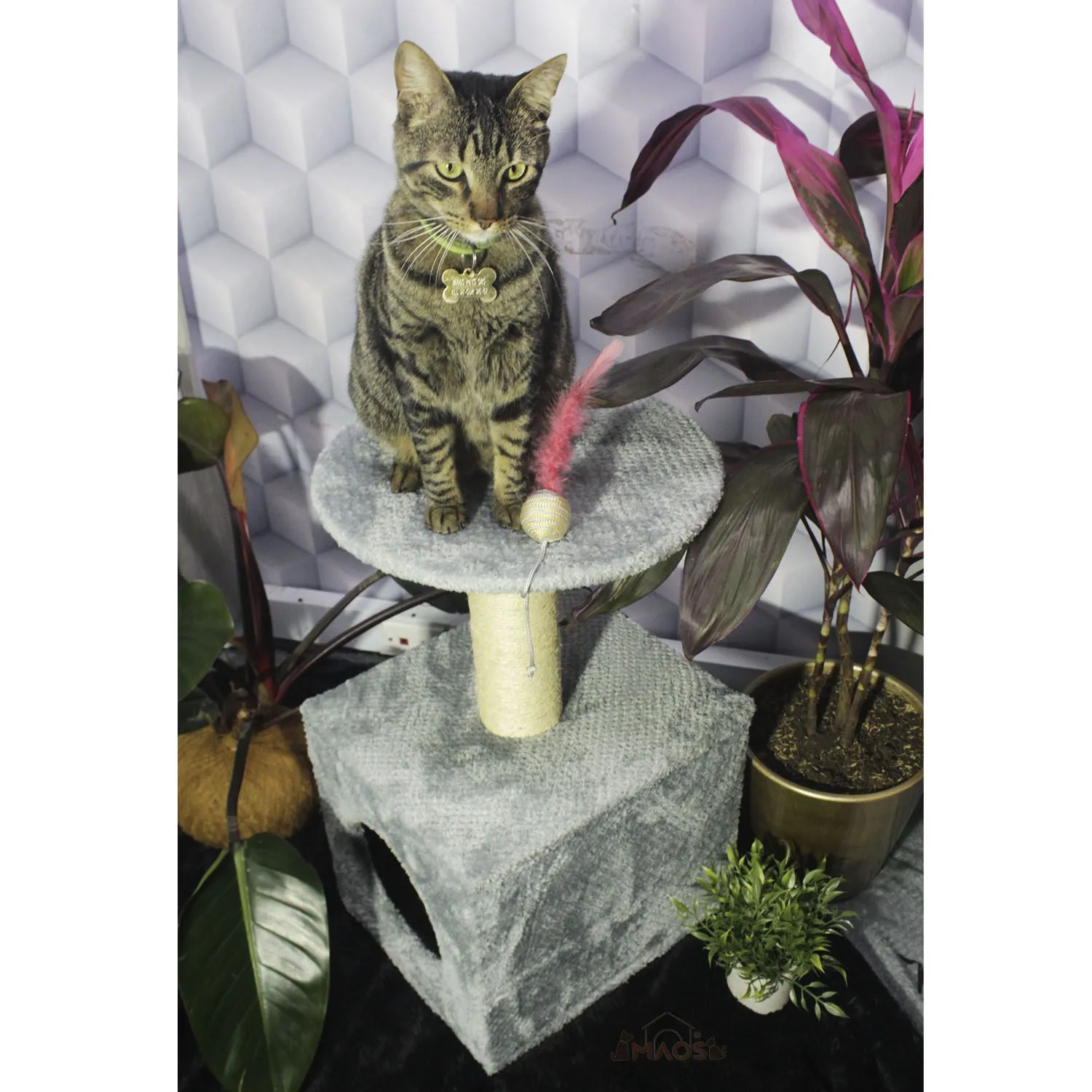 Gimnasio Rascador Para Gatos 38x32x70cm Mediano Gris 5