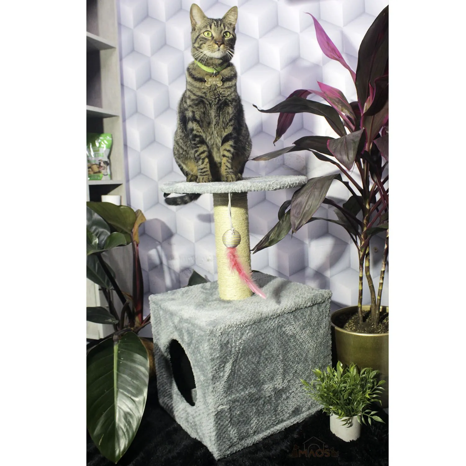 Gimnasio Rascador Para Gatos 38x32x70cm Mediano Gris 6