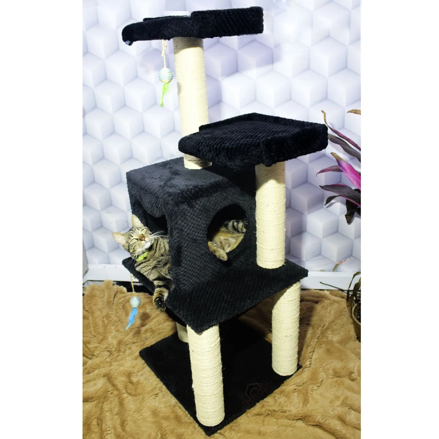 Gimnasio Rascador Para Gatos 50X45X135Cm Mediano Negro 5