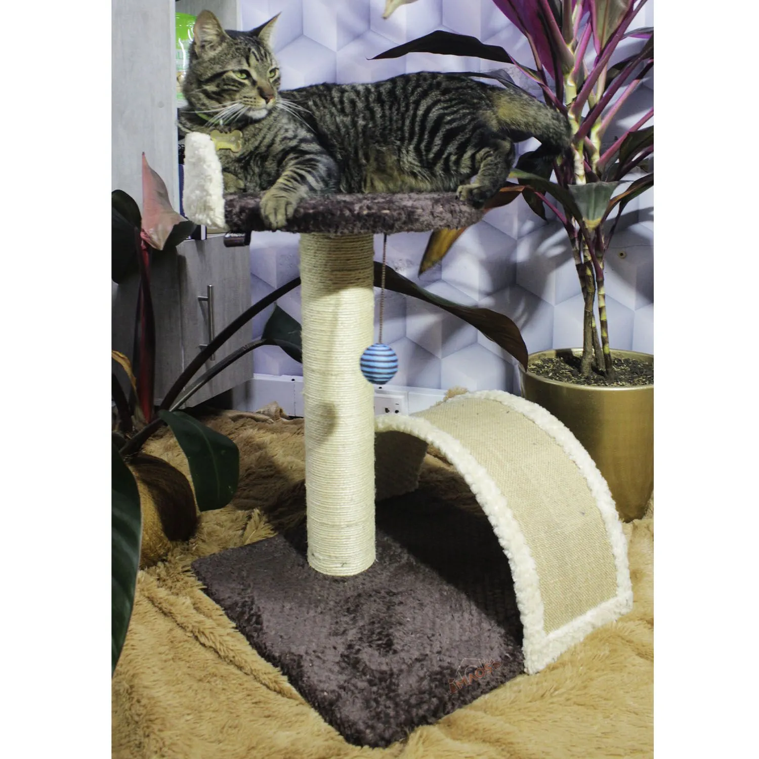 Gimnasio Rascador Para Gatos 40x40x60cm Mediano Café