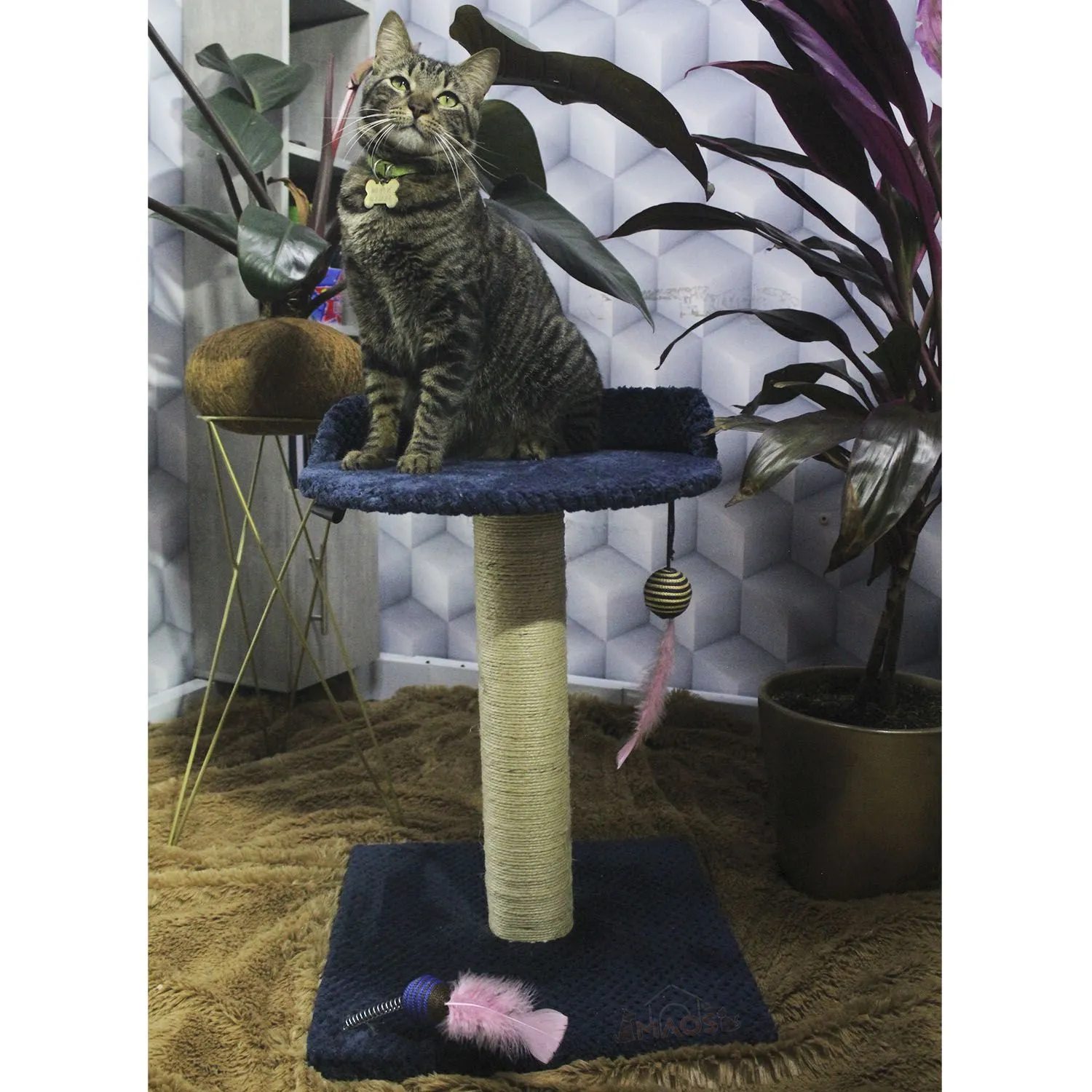 Gimnasio Rascador Para Gatos 40x40x60cm Mediano