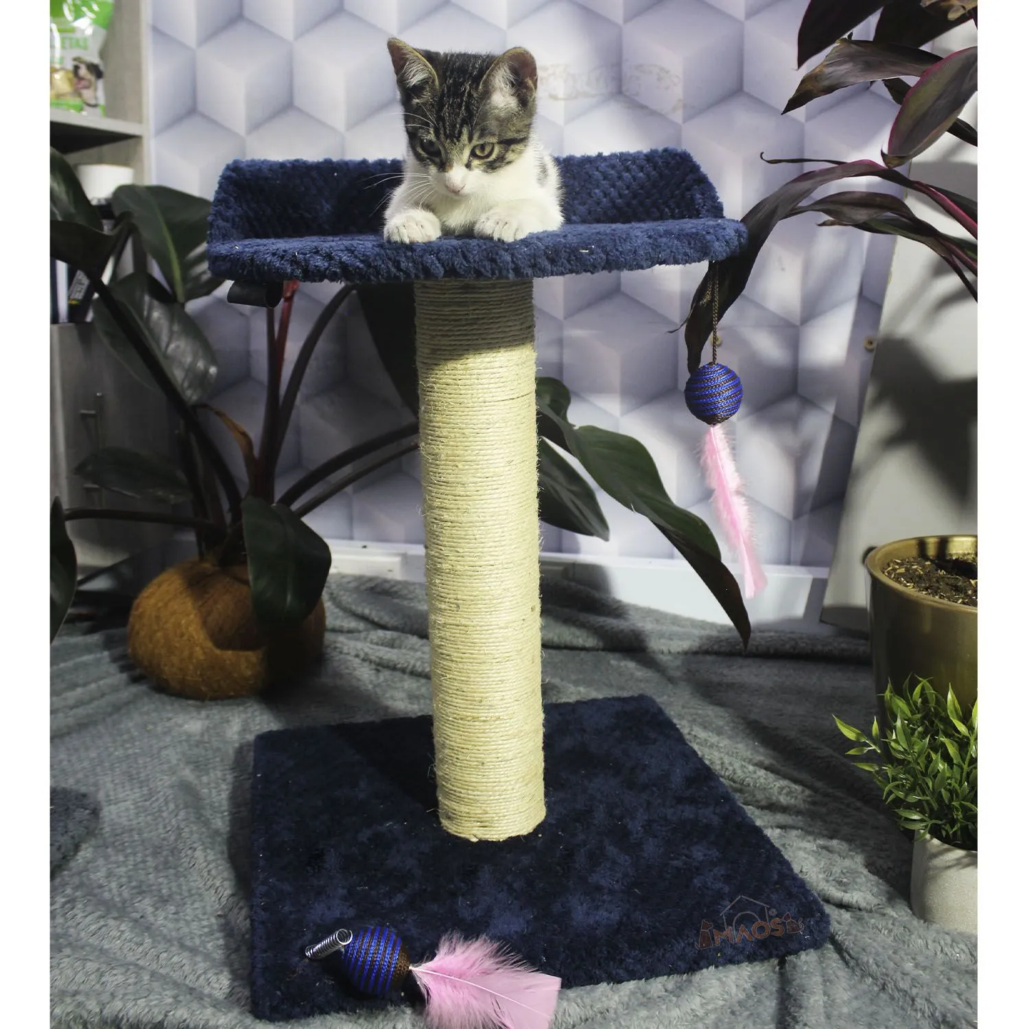 Gimnasio Rascador Para Gatos 40x40x60cm Mediano 4