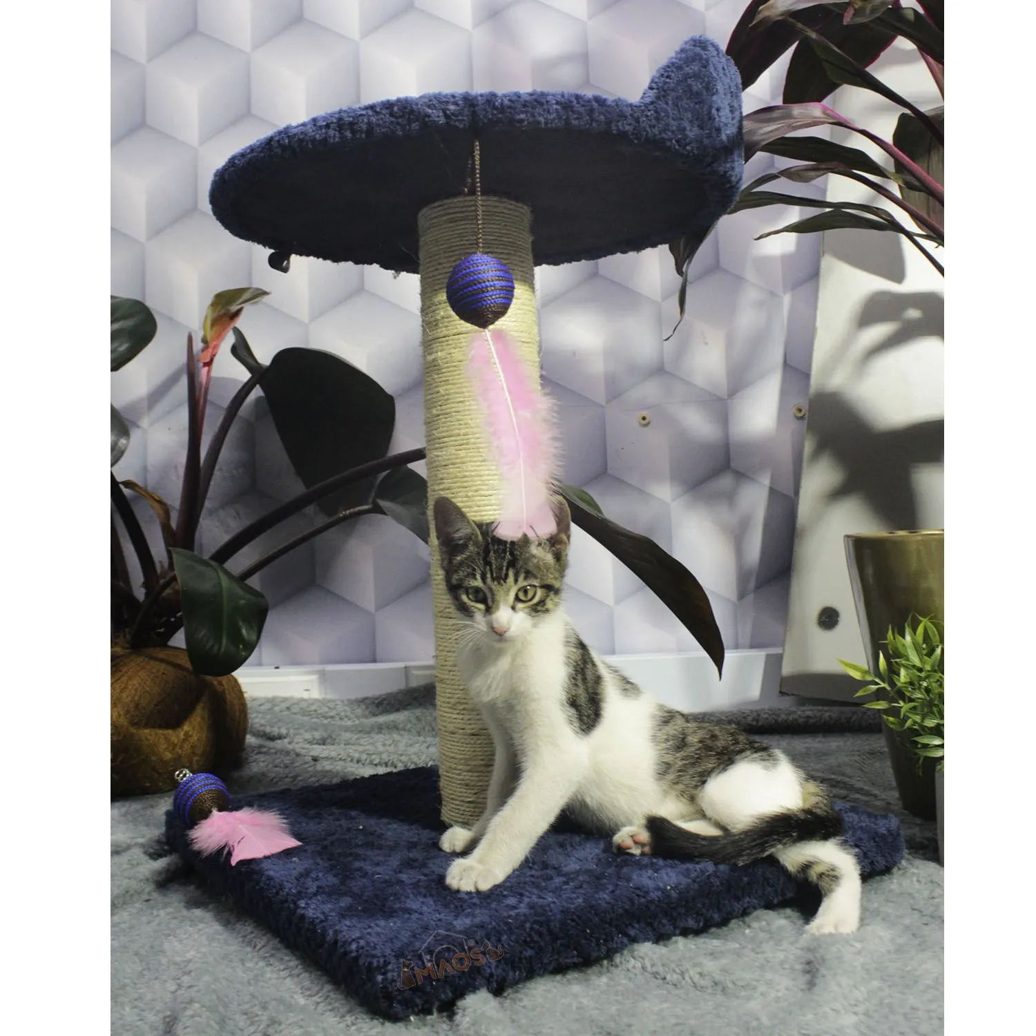 Gimnasio Rascador Para Gatos 40x40x60cm Mediano 5
