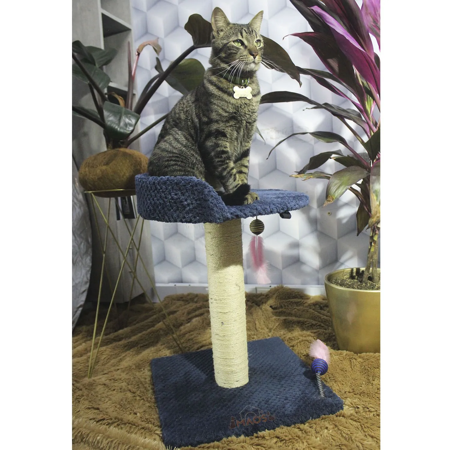 Gimnasio Rascador Para Gatos 40x40x60cm Mediano 6