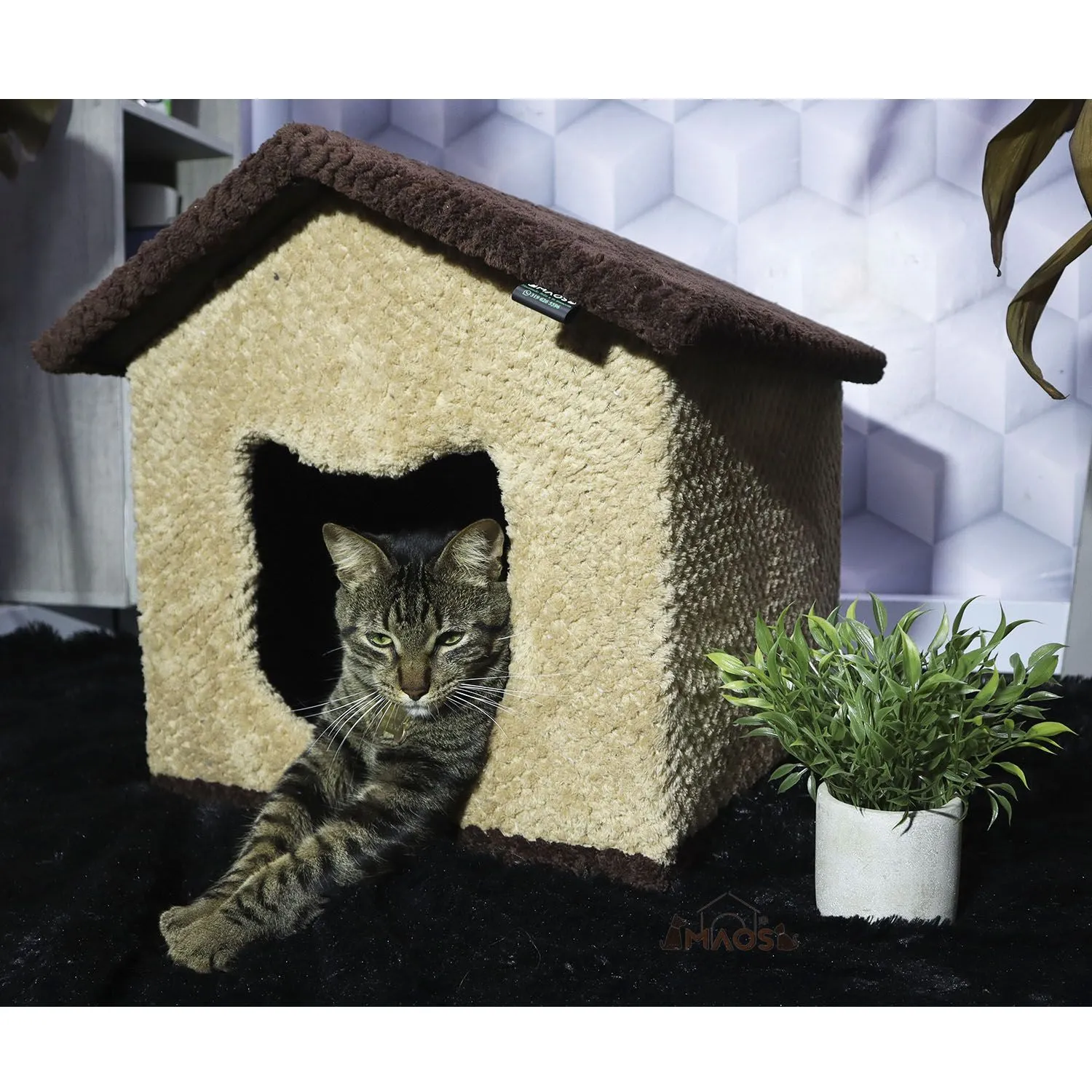 Gimnasio Rascador Para Gatos 40x40x48cm Mediano Café 4