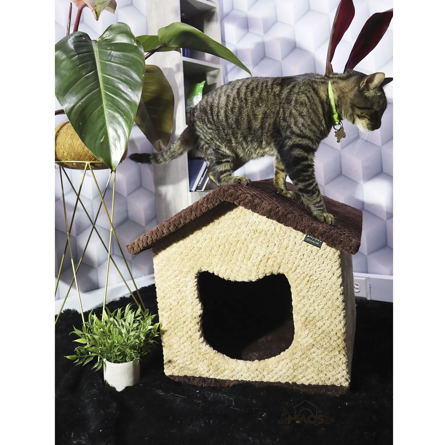Gimnasio Rascador Para Gatos 40x40x48cm Mediano Café 5