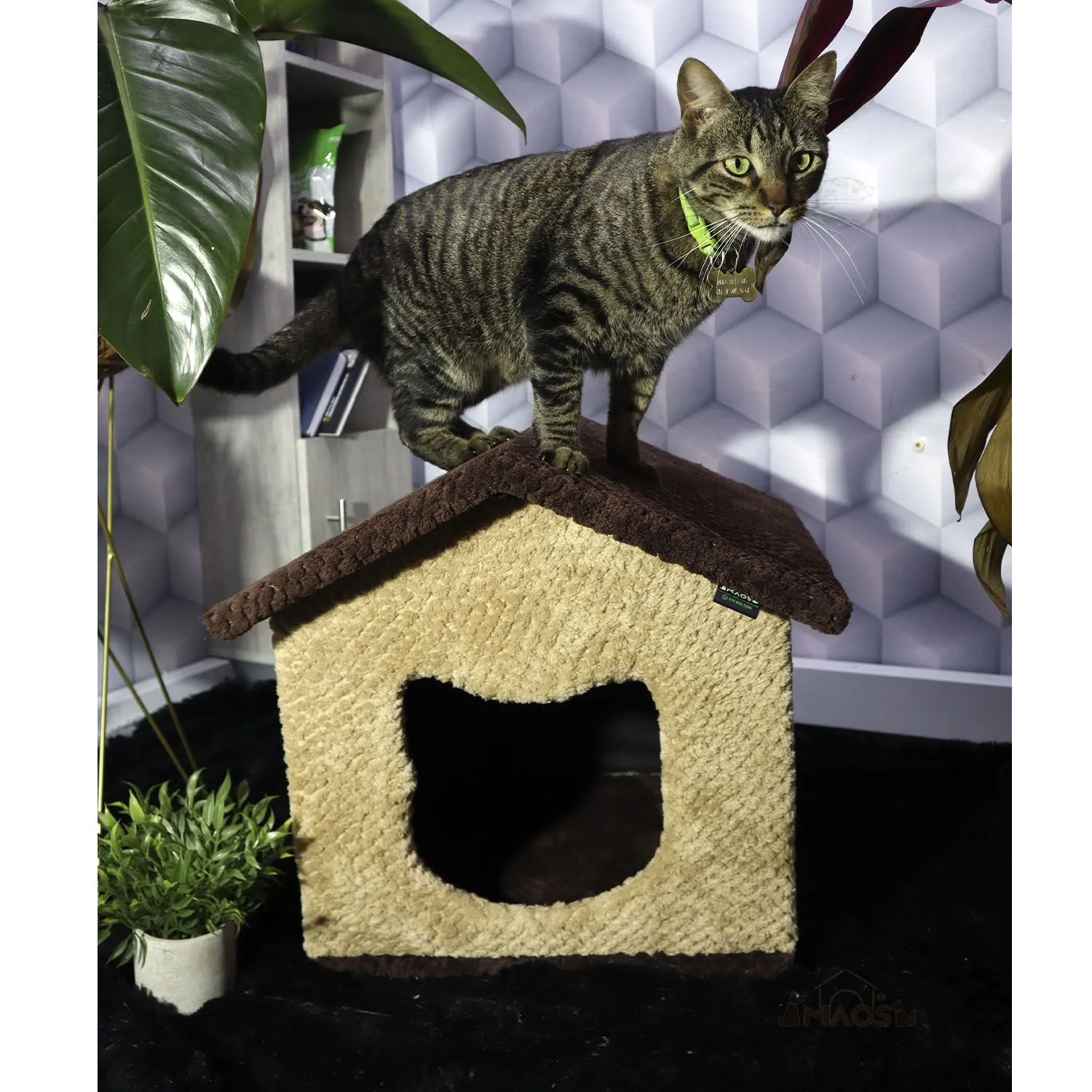 Gimnasio Rascador Para Gatos 40x40x48cm Mediano Café 6