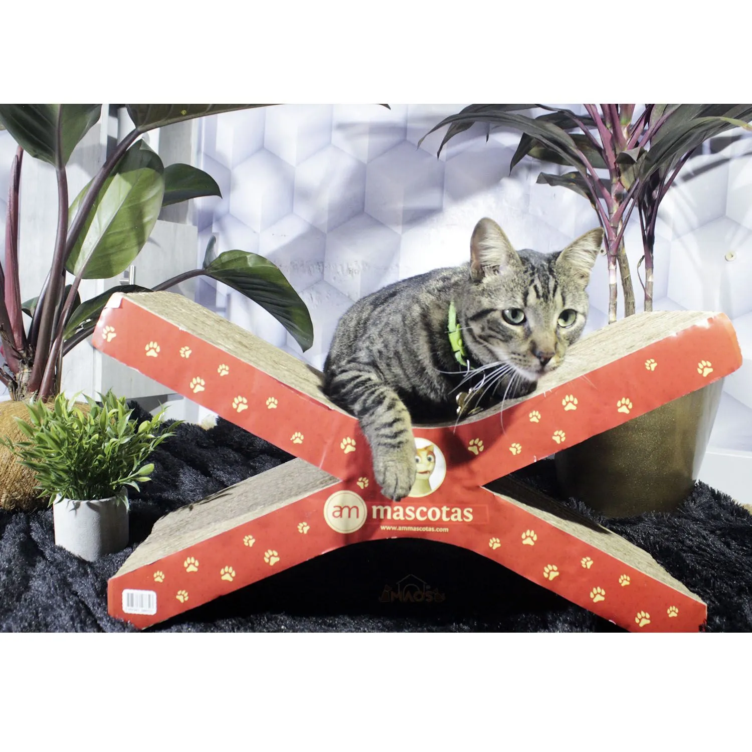 Rascador Para Gatos Cartón 56x14x19cm Mediano Café 3