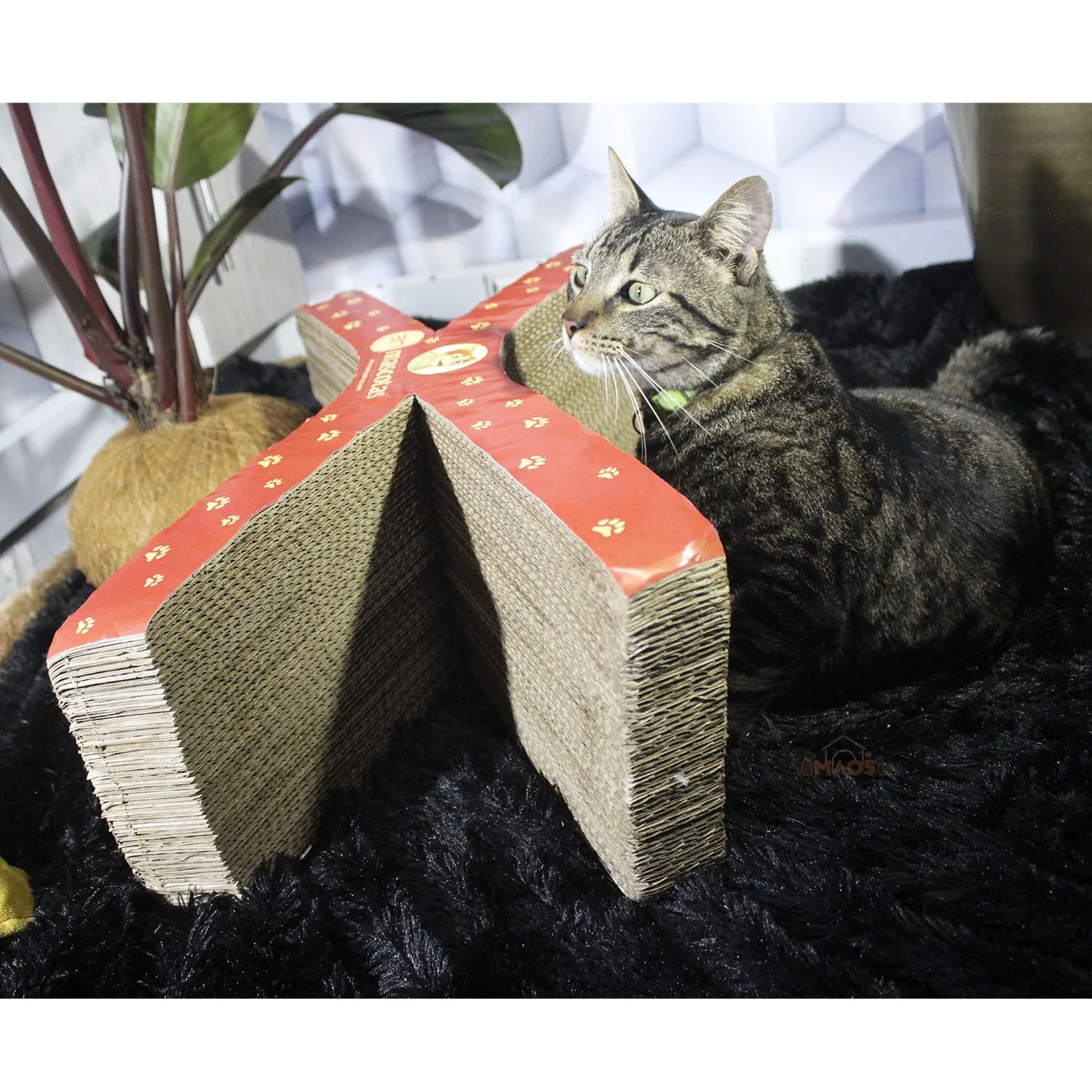 Rascador Para Gatos Cartón 56x14x19cm Mediano Café 5