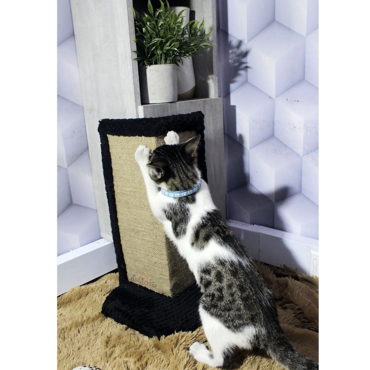 Gimnasio Rascador Para Gatos 30x30x50cm Mediano Negro 3