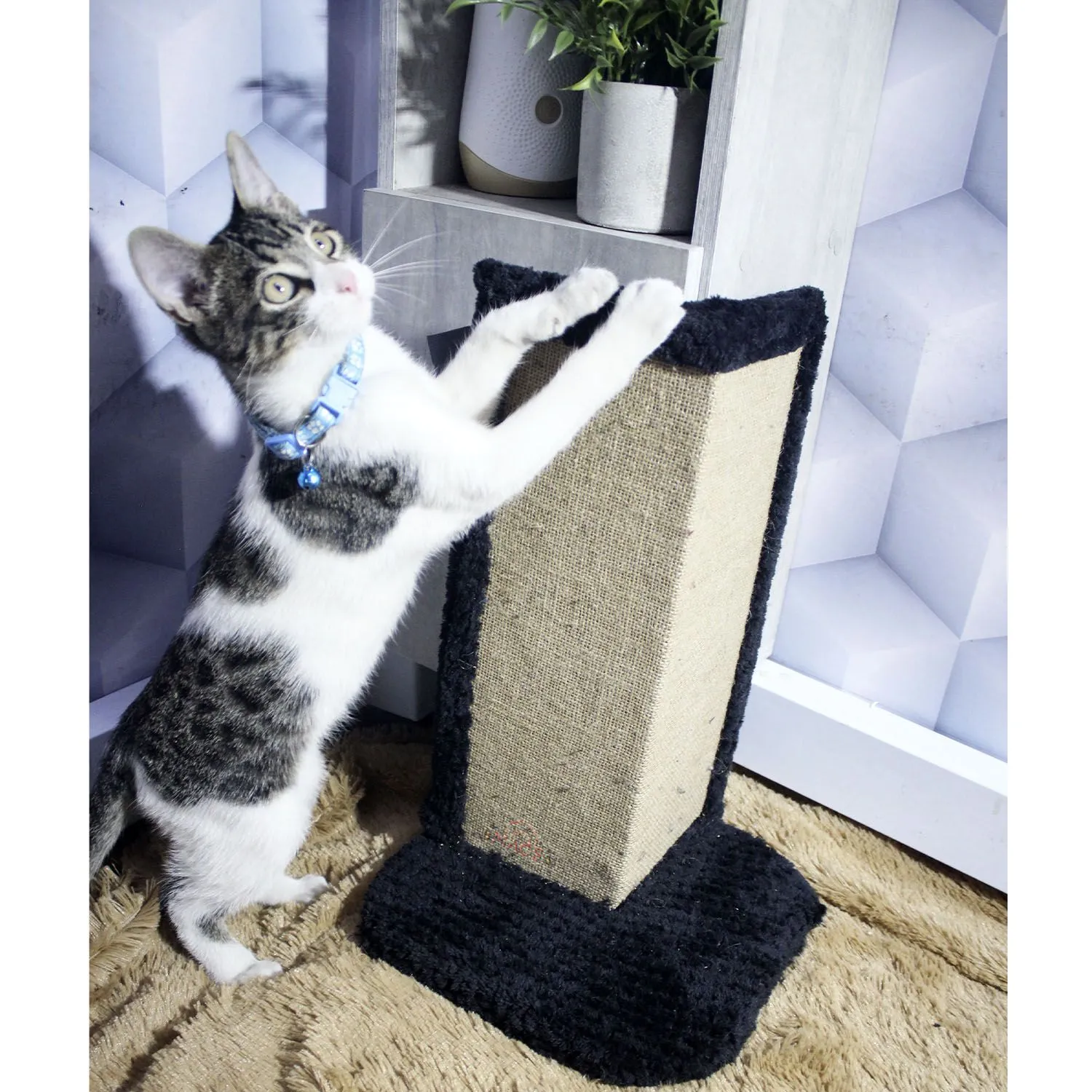 Gimnasio Rascador Para Gatos 30x30x50cm Mediano Negro 4