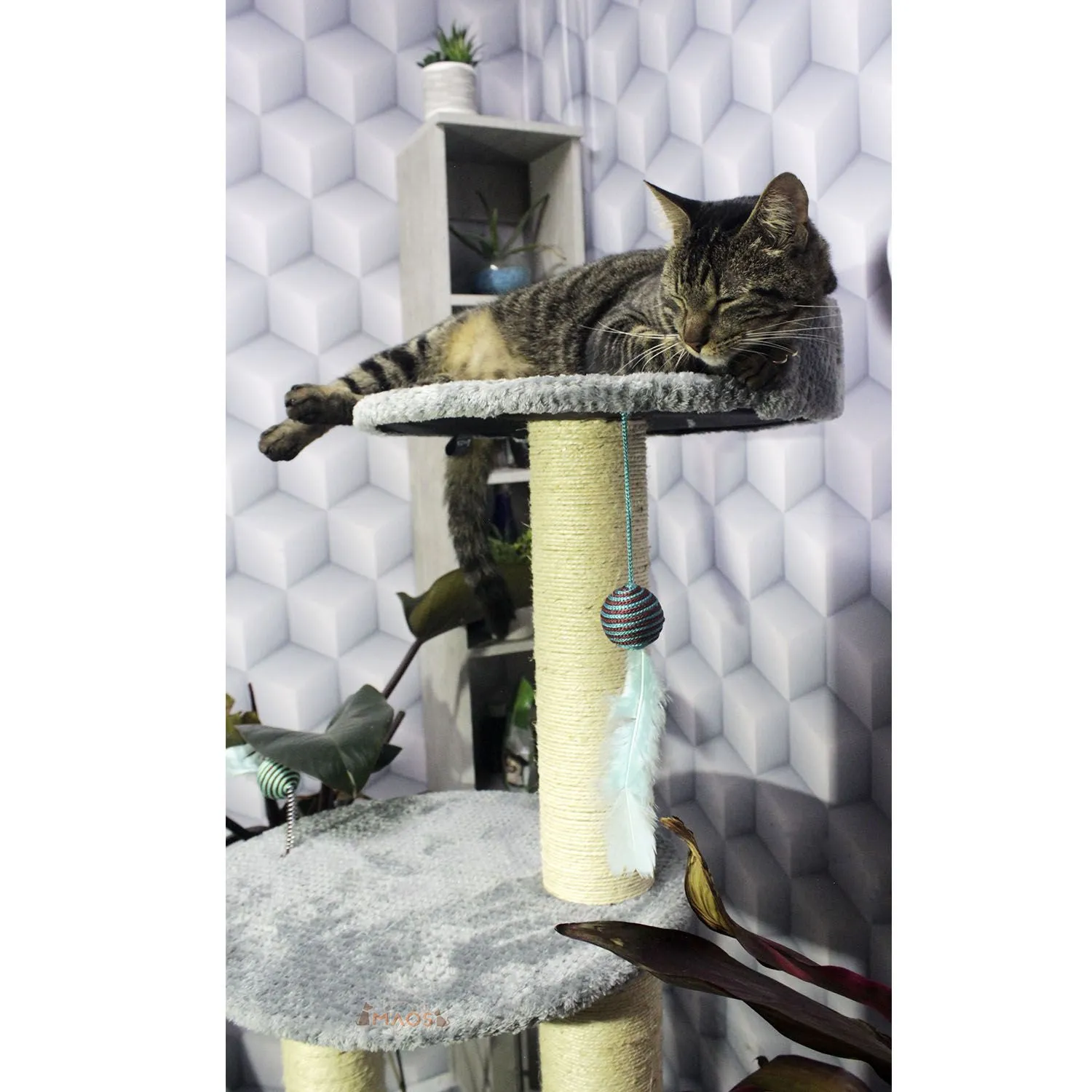 Gimnasio Rascador para Gatos Mediano Gris 45x45x126 cm 4