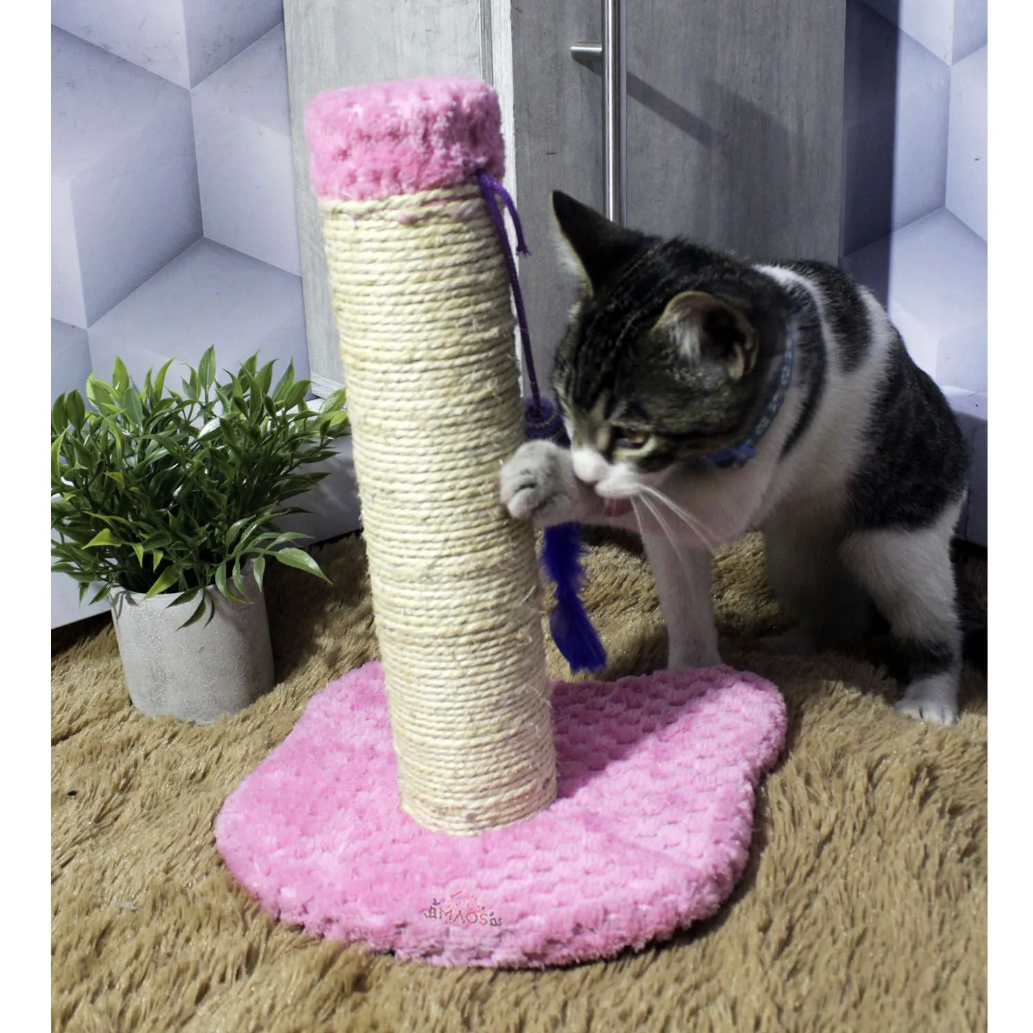 Rascador Para Gatos  30x30x30cm PequeñoRosado 4