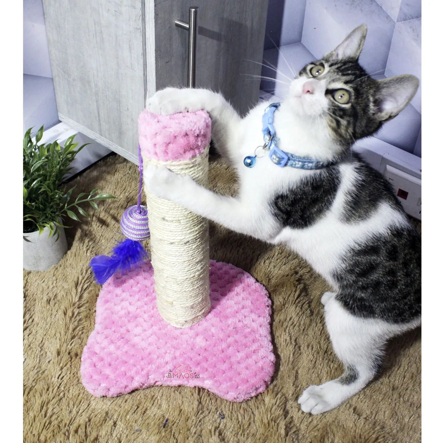 Rascador Para Gatos  30x30x30cm PequeñoRosado 5