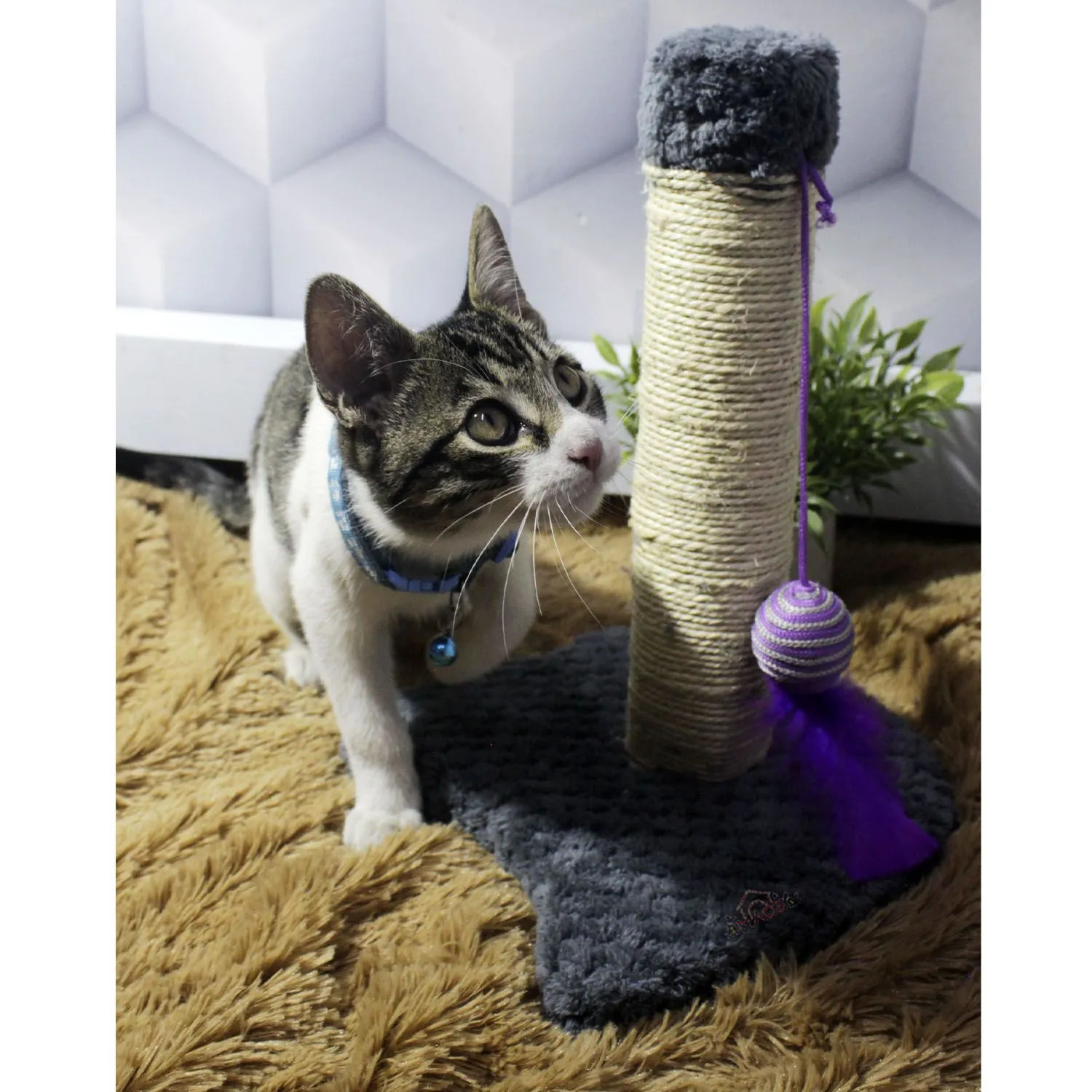 Rascador Para Gatos Juguete 30x30x30cm Pequeño Gris 5