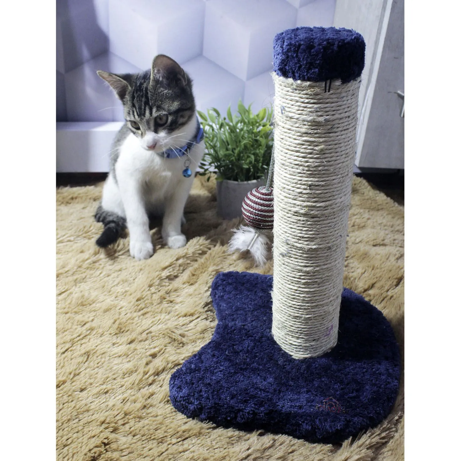 Rascador Para Gatos Carica 30x30x30cm Pequeño Petroleo 3