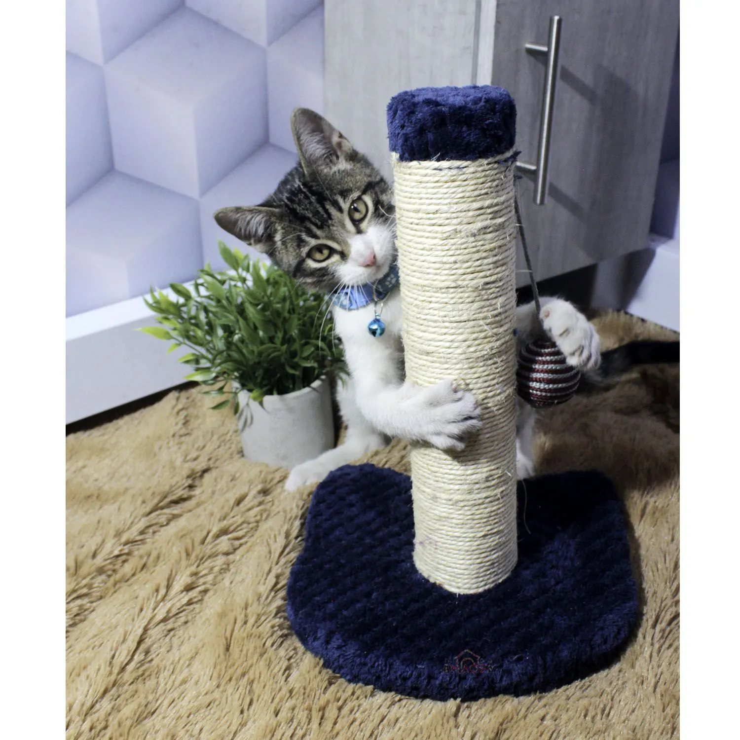 Rascador Para Gatos Carica 30x30x30cm Pequeño Petroleo 5
