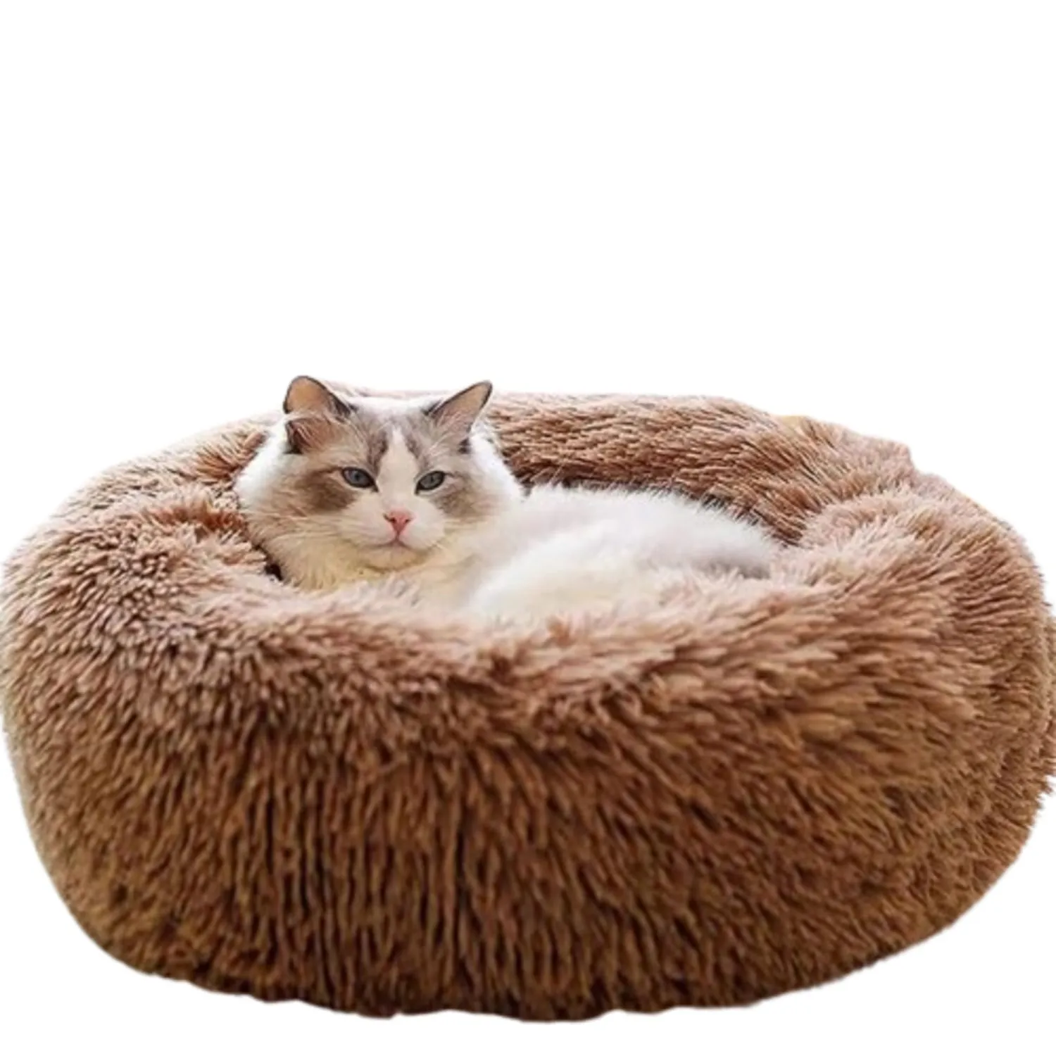 Cama Dona Para Gato 50x50x15cm Pequeña Café Maos Pets