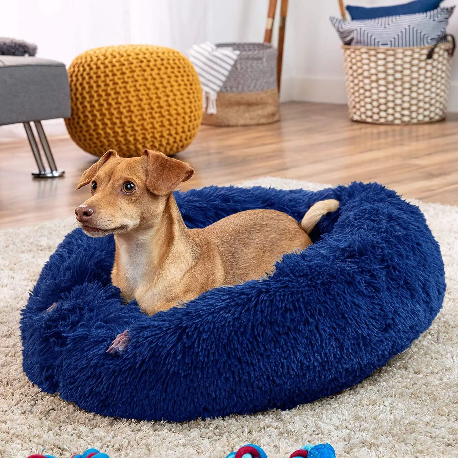 Cama Dona Para Perro 50x50x15cm Pequeña Petroleo Maos Pets