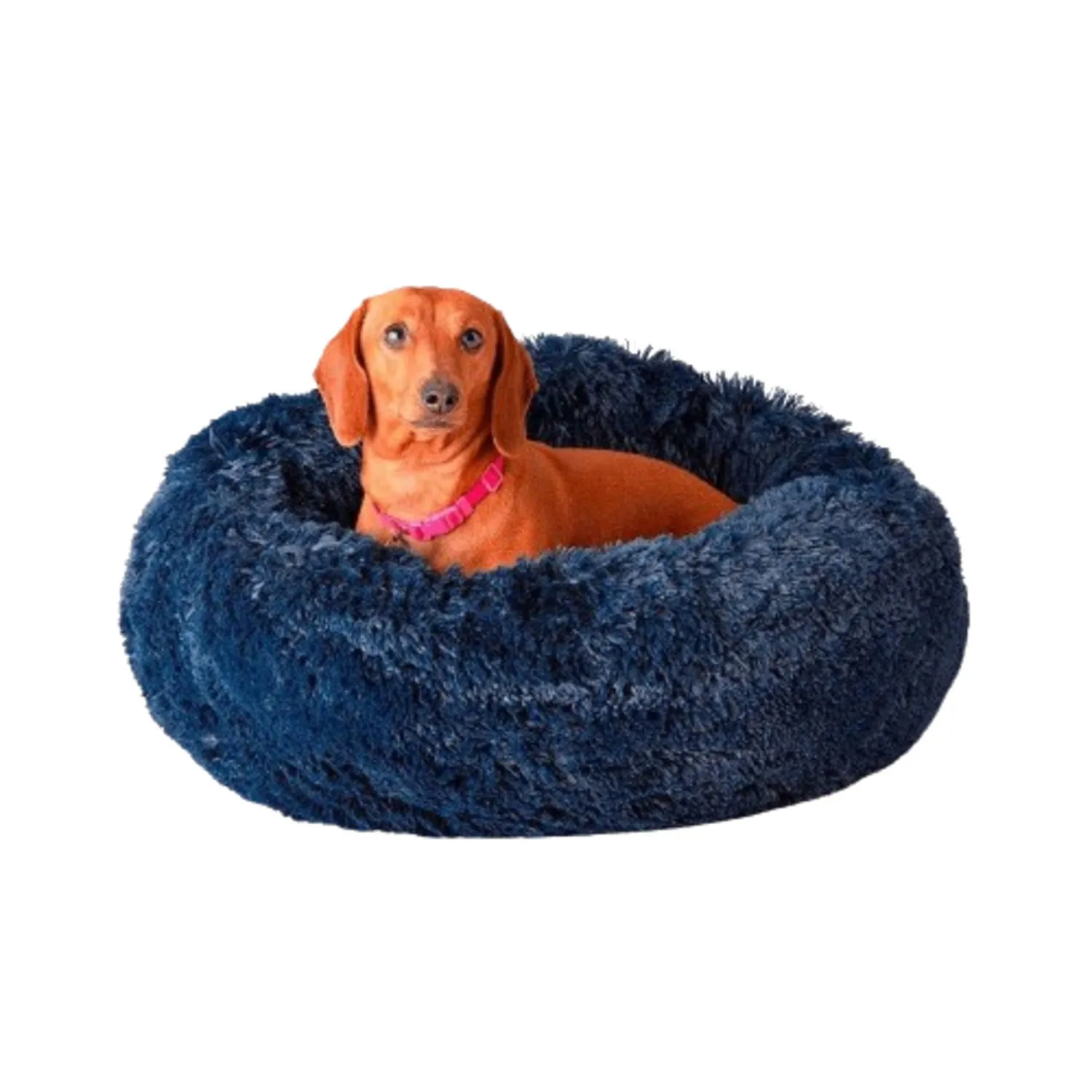 Cama Dona Para Perro 50x50x15cm Pequeña Petroleo Maos Pets 3