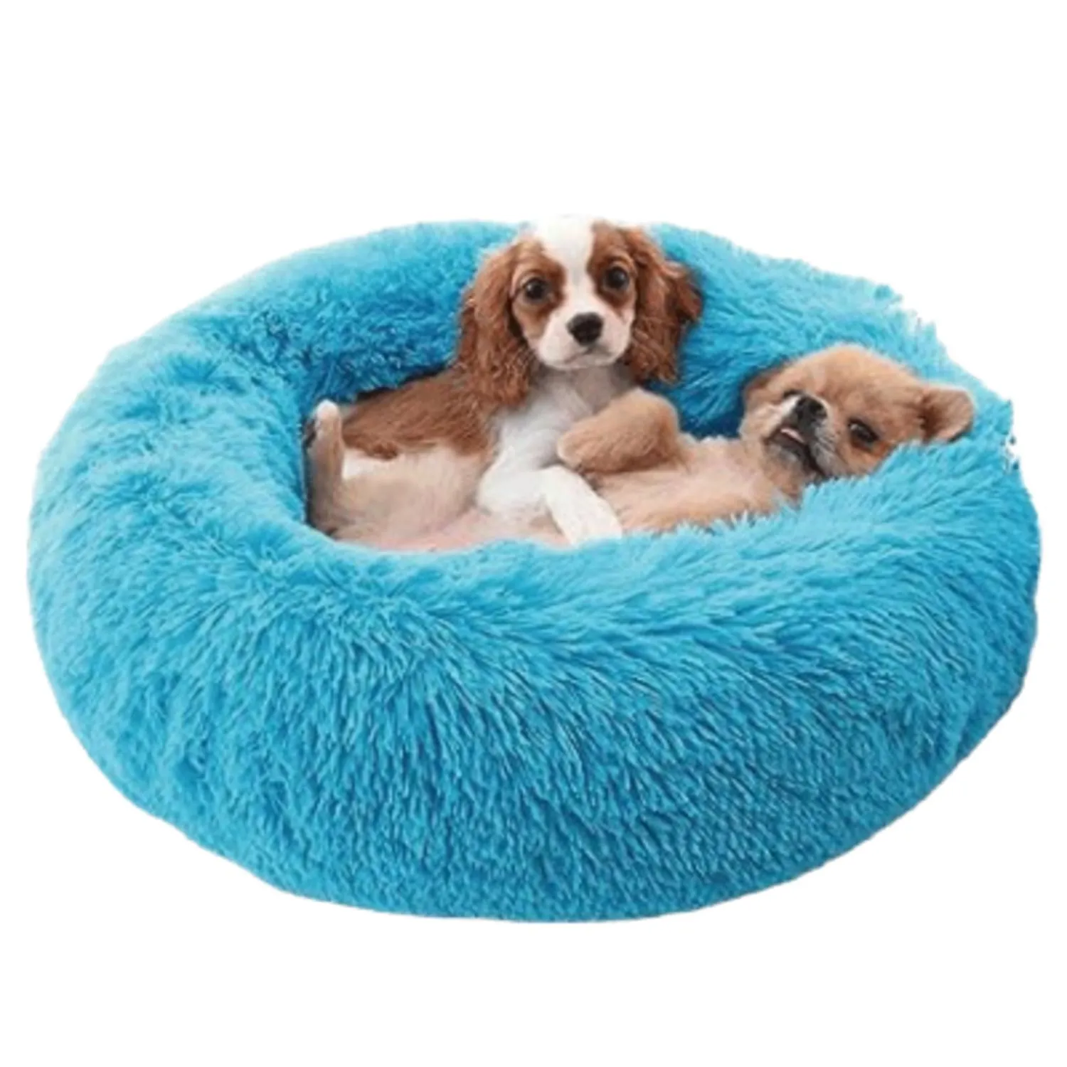 Cama Dona Para Gato 60x60x20cm Mediana Azul Maos Pets