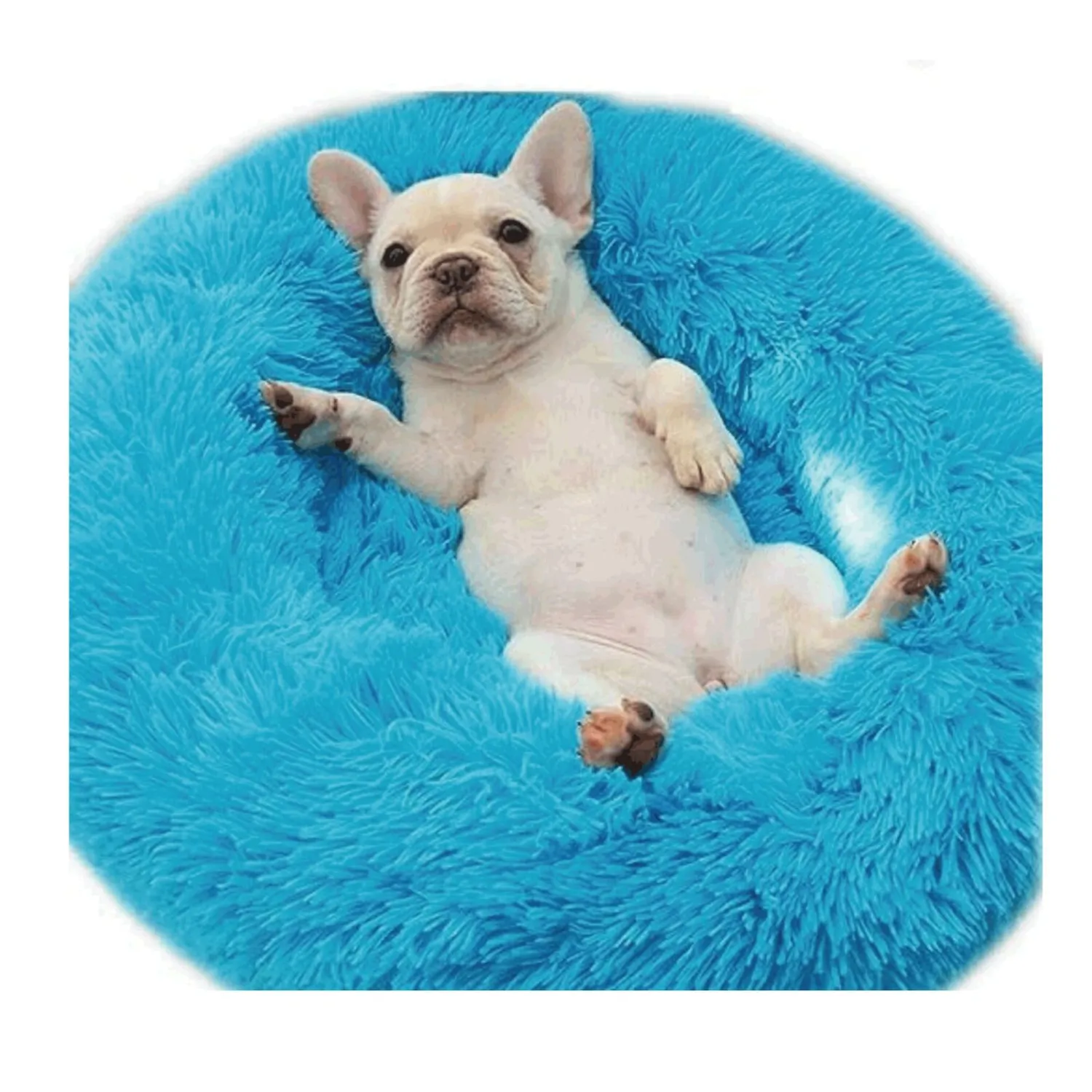 Cama Dona Para Gato 60x60x20cm Mediana Azul Maos Pets 3