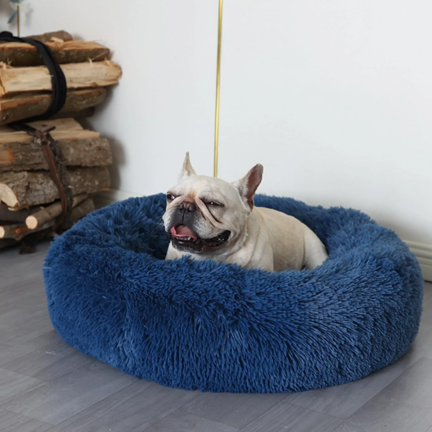Cama Dona Para Gato 60x60x20cm Mediana Petroleo Maos Pets