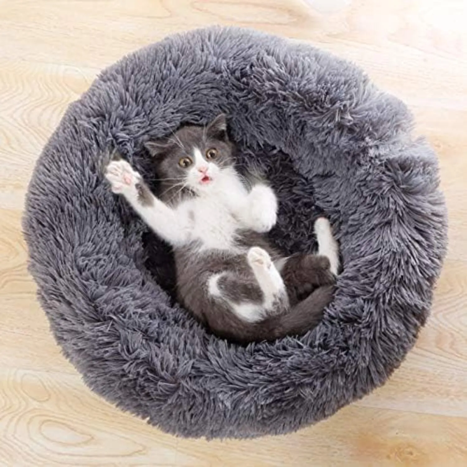 Cama Dona Para Gato 50x50x15cm Pequeña Gris Maos Pets 3