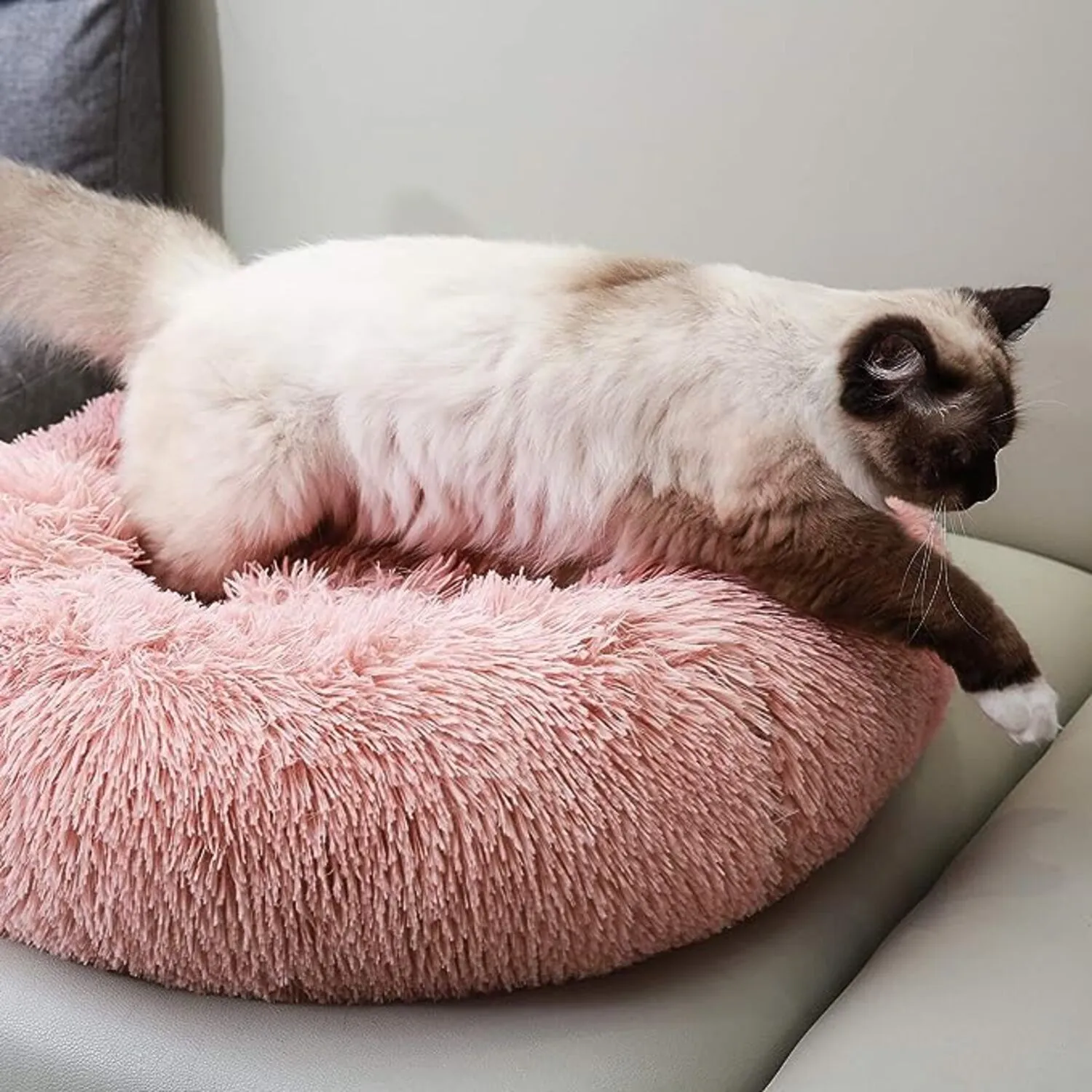 Cama Dona Para Gato 50X50X15Cm Pequeña Rosa Maos Pets