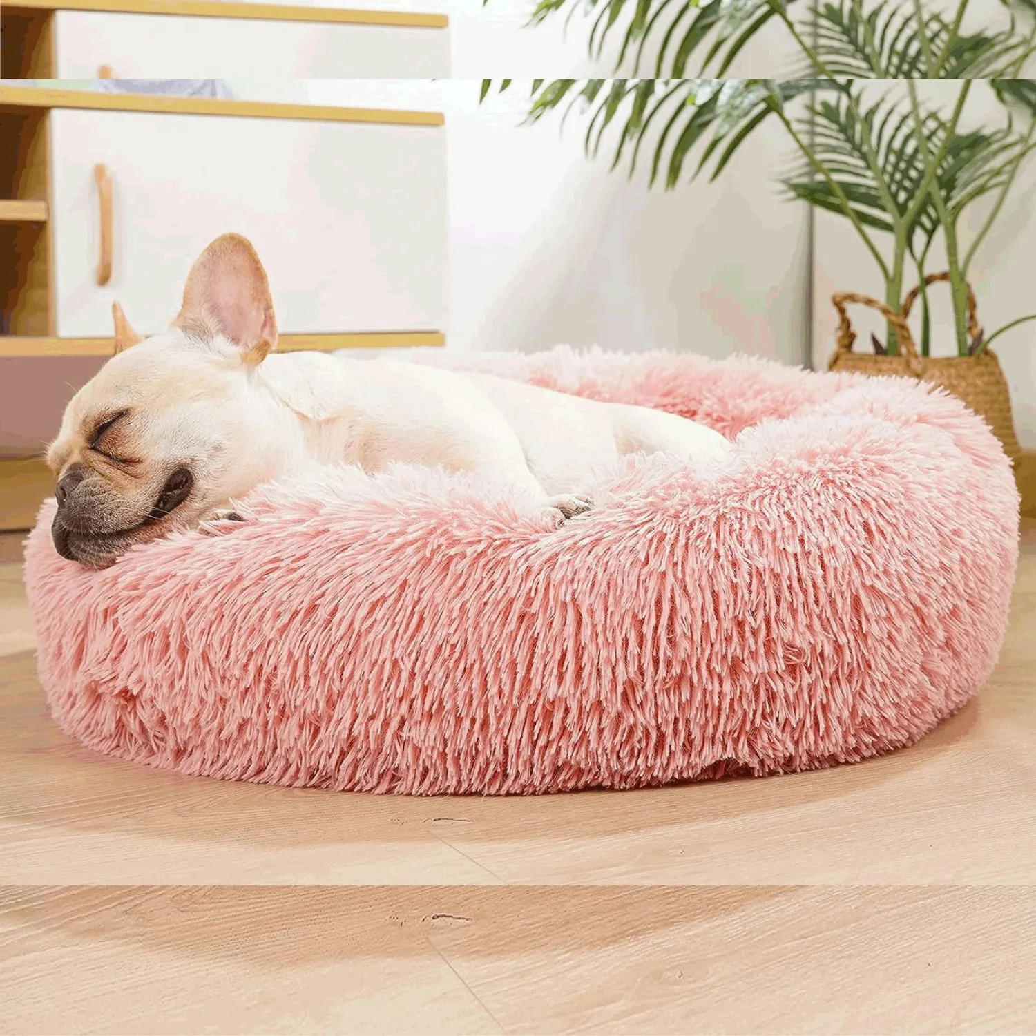 Cama Dona Para Gato 50X50X15Cm Pequeña Rosa Maos Pets 3