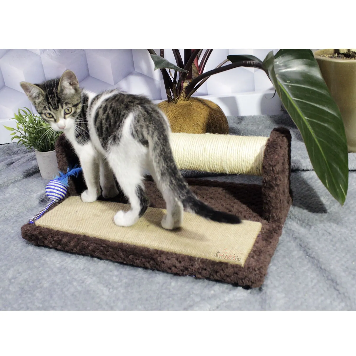 Gimnasio Rascador Para Gatos 42x25x17cm Mediano Café 4