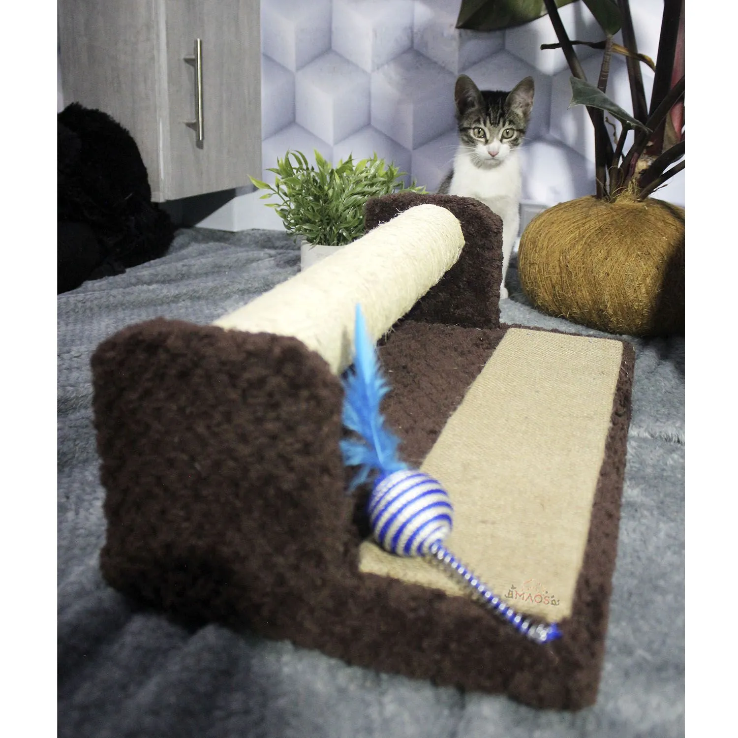 Gimnasio Rascador Para Gatos 42x25x17cm Mediano Café 5