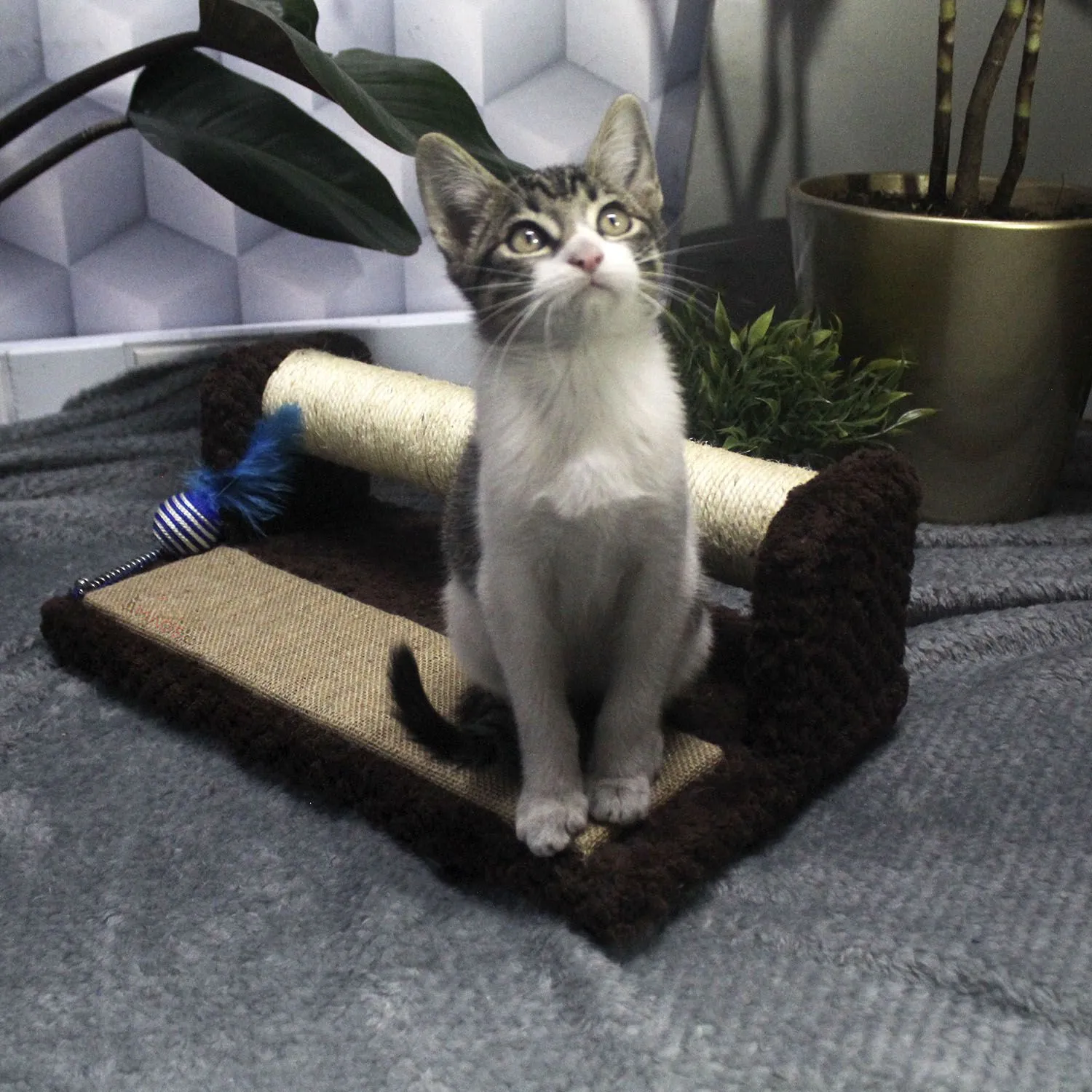 Gimnasio Rascador Para Gatos 42x25x17cm Mediano Café 6