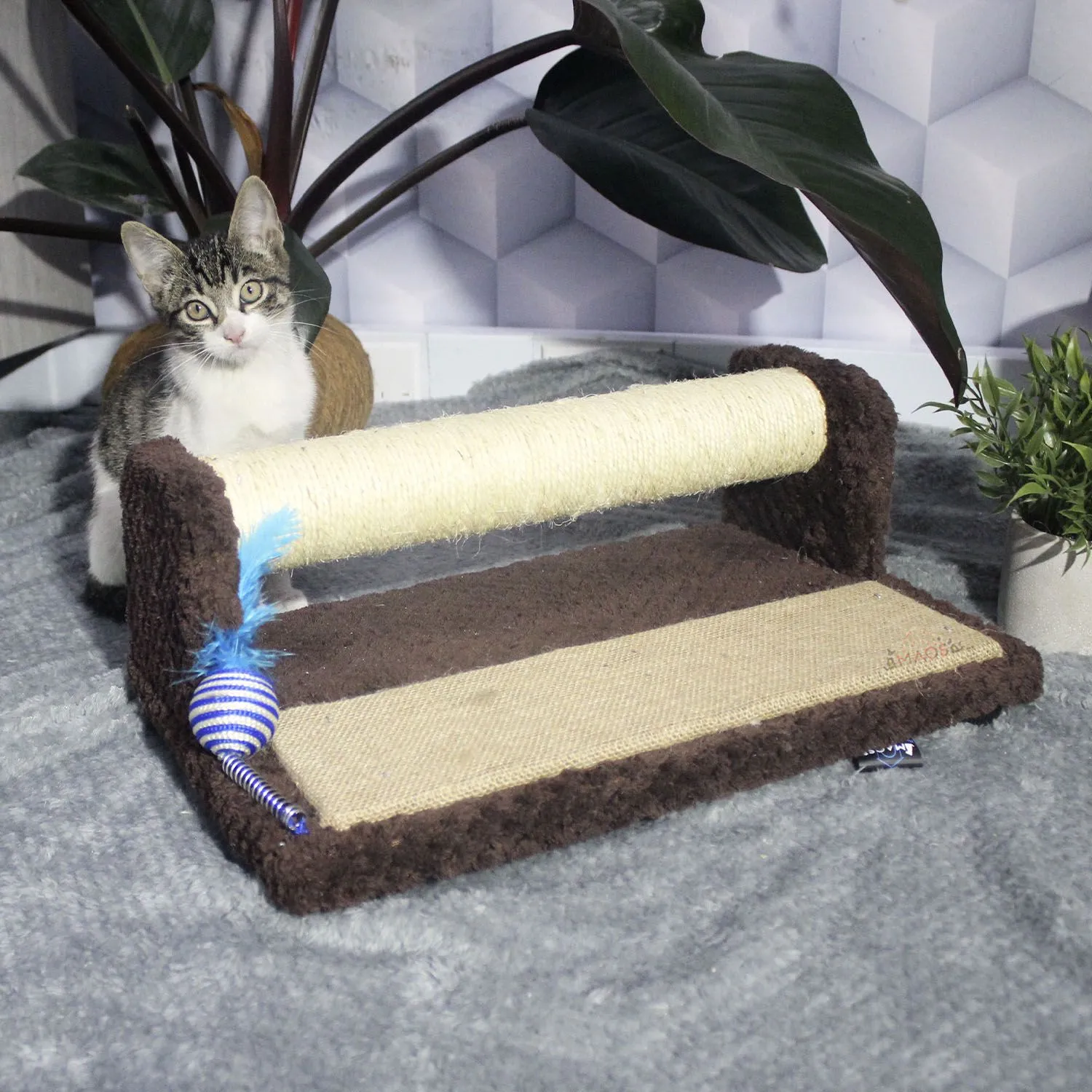 Gimnasio Rascador Para Gatos 42x25x17cm Mediano Café 7