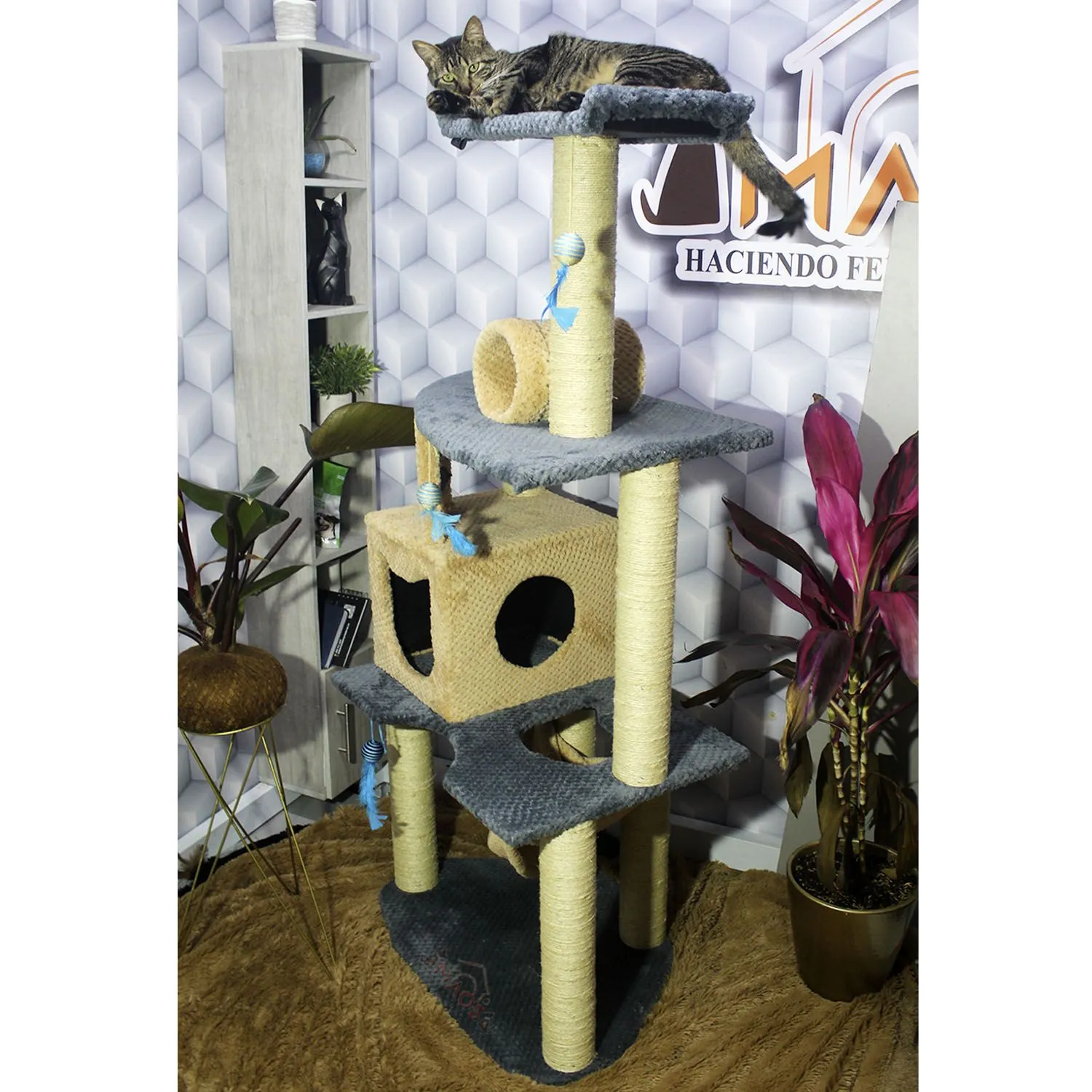 Gimnasio Rascador Para Gatos 70X50X160Cm Mediano Gris 4