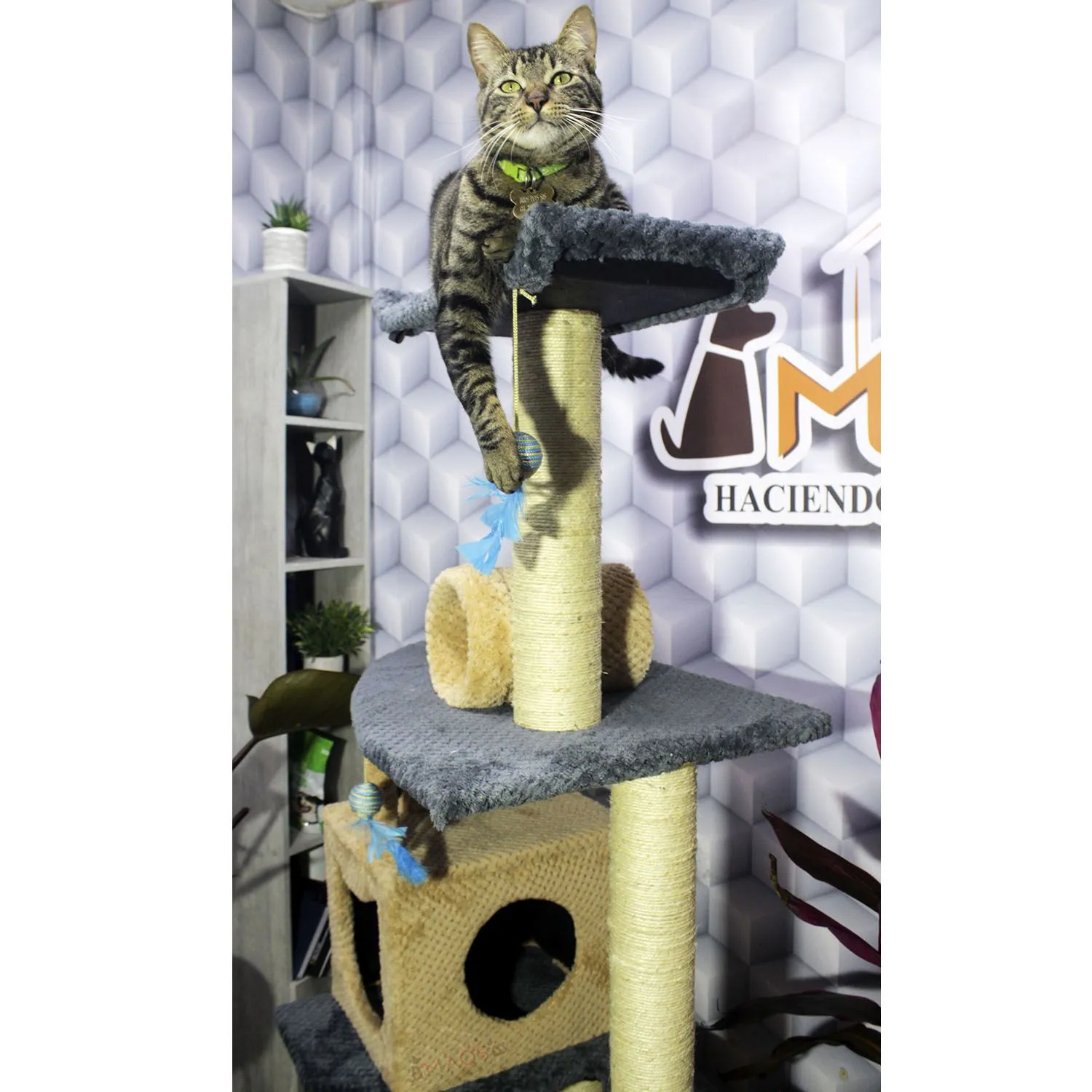 Gimnasio Rascador Para Gatos 70X50X160Cm Mediano Gris 5
