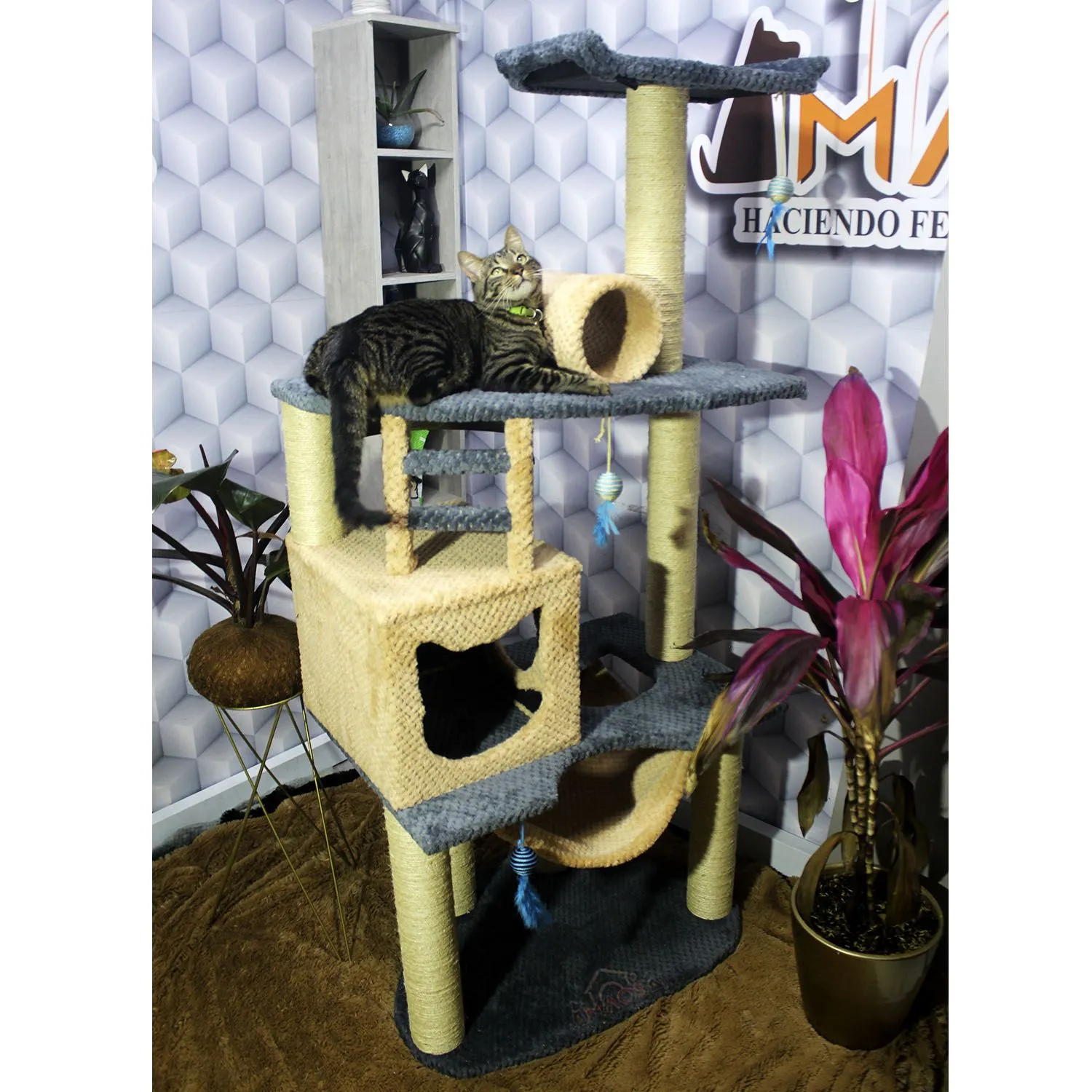 Gimnasio Rascador Para Gatos 70X50X160Cm Mediano Gris 6