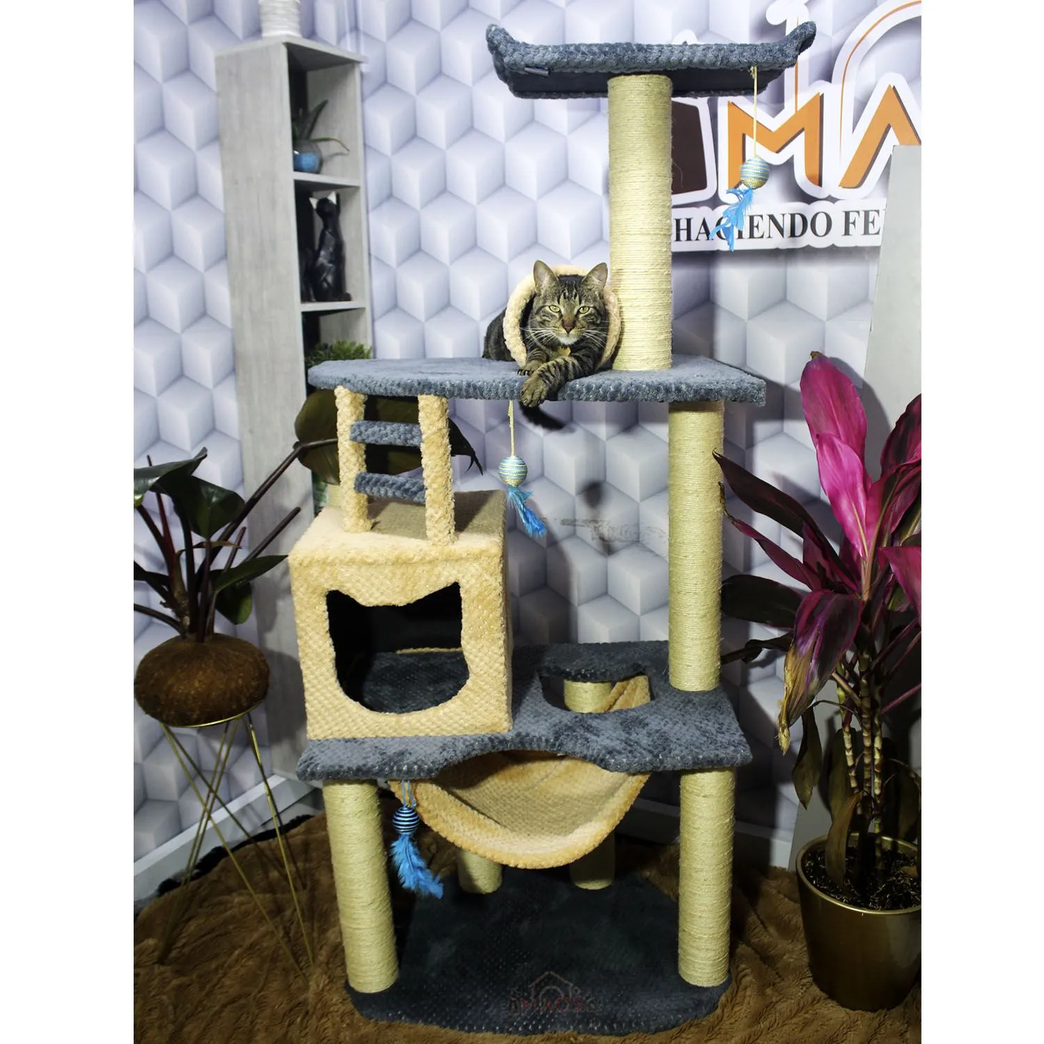 Gimnasio Rascador Para Gatos 70X50X160Cm Mediano Gris 7
