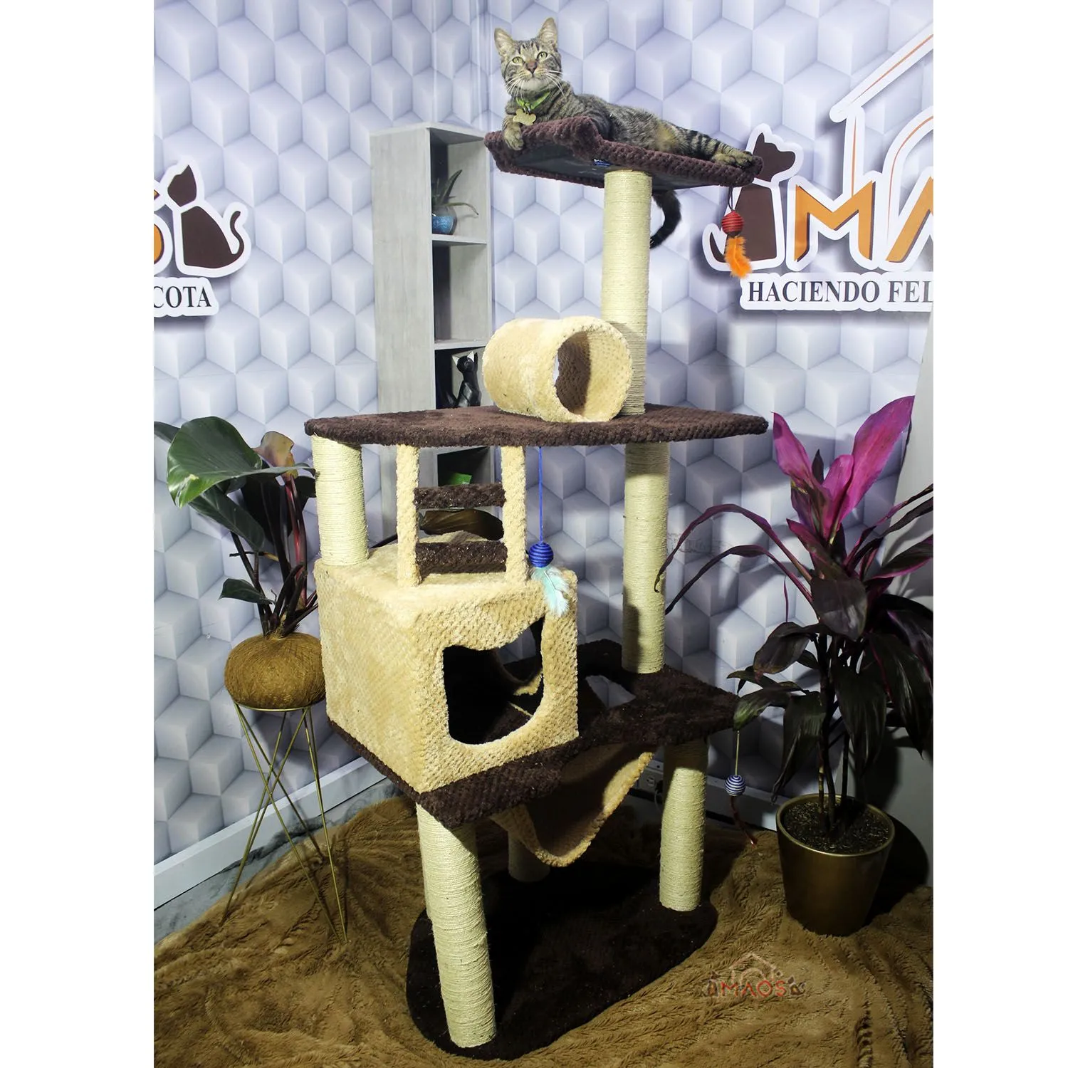Gimnasio Rascador Para Gatos 70X50X160Cm Mediano Café 4