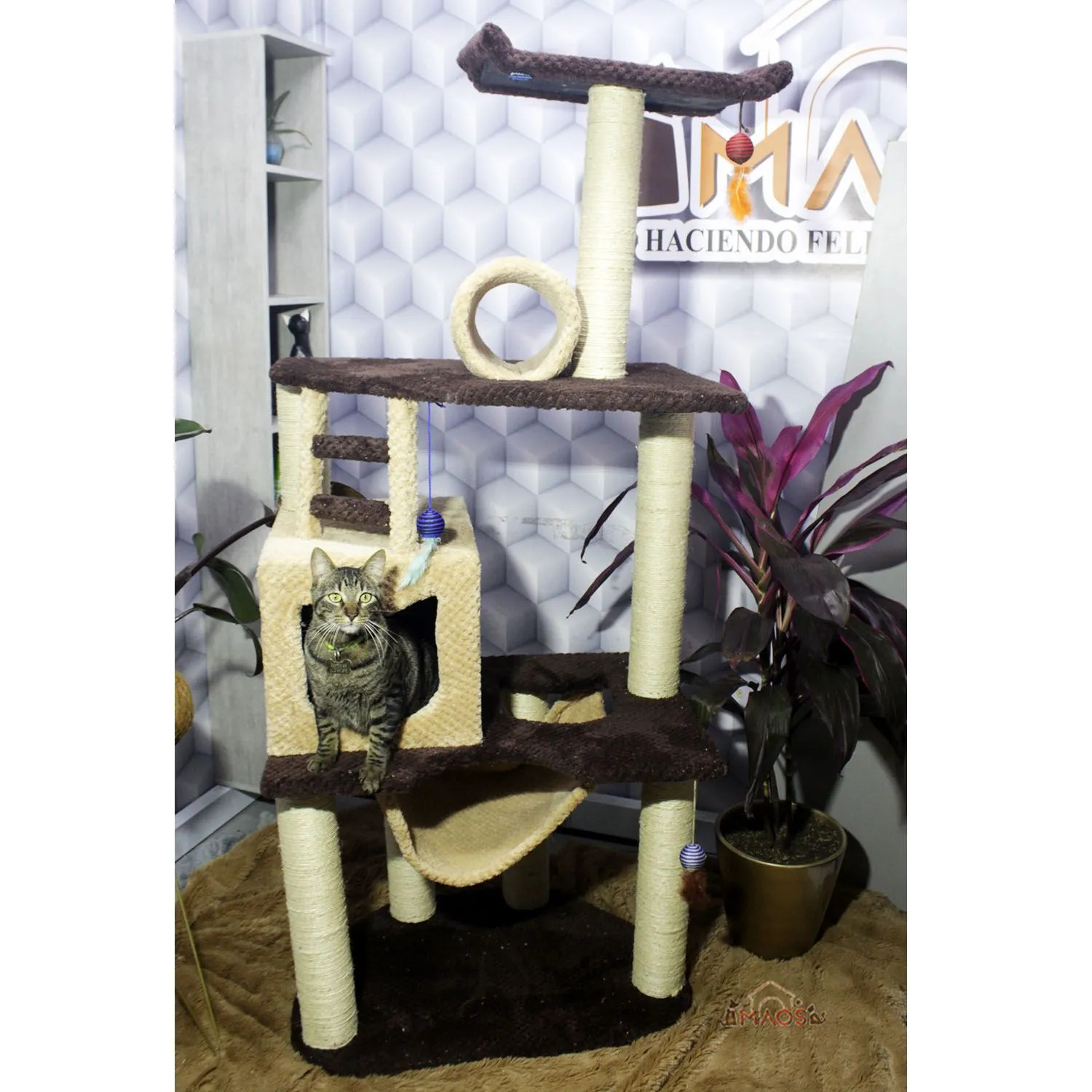 Gimnasio Rascador Para Gatos 70X50X160Cm Mediano Café 6