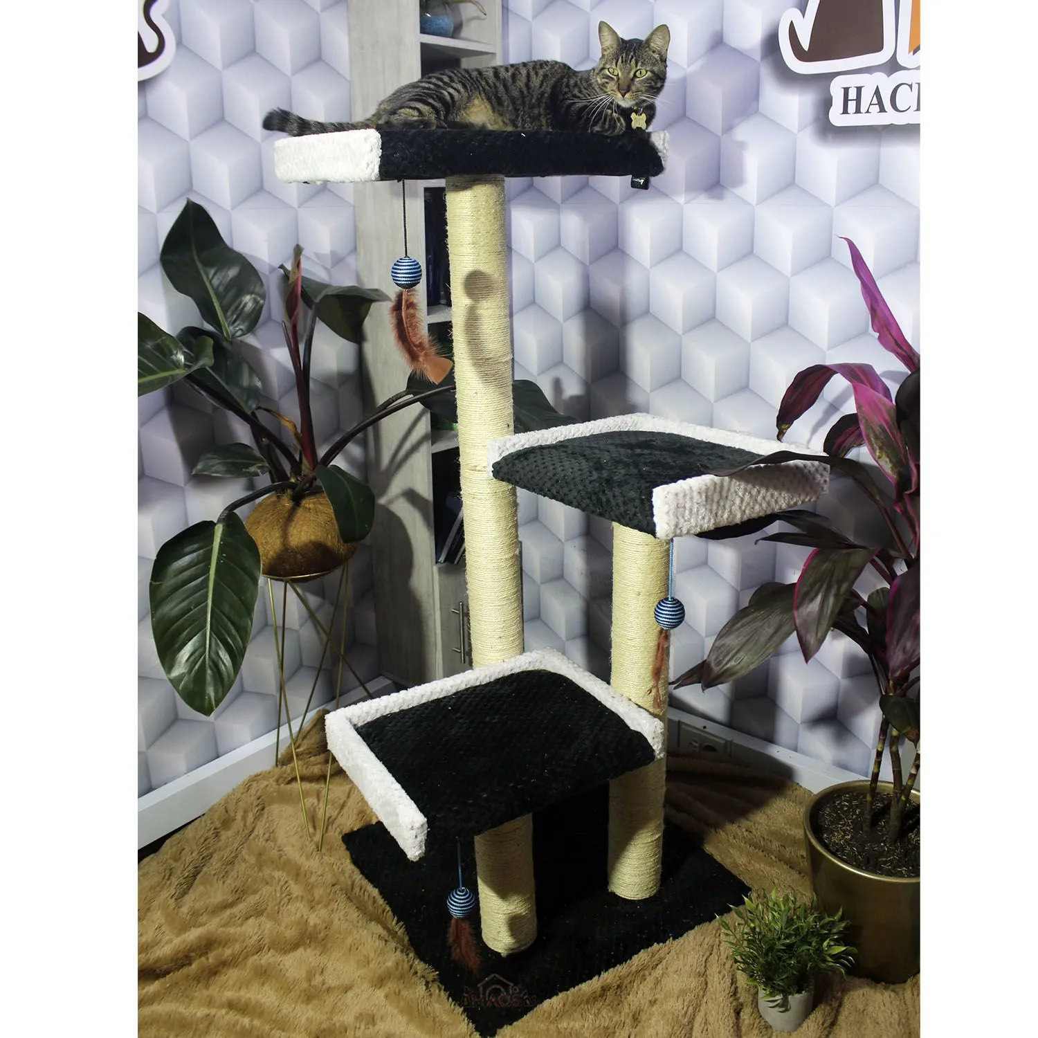 Gimnasio Rascador Para Gatos 55X55X130Cm Mediano Negro 3