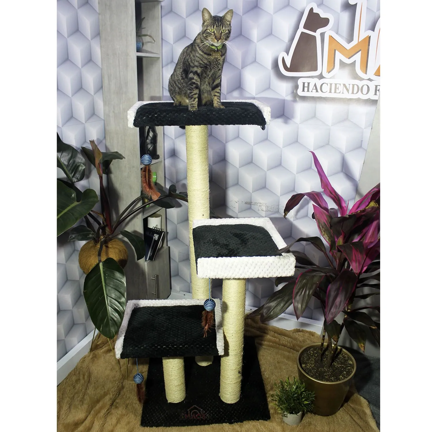 Gimnasio Rascador Para Gatos 55X55X130Cm Mediano Negro 4