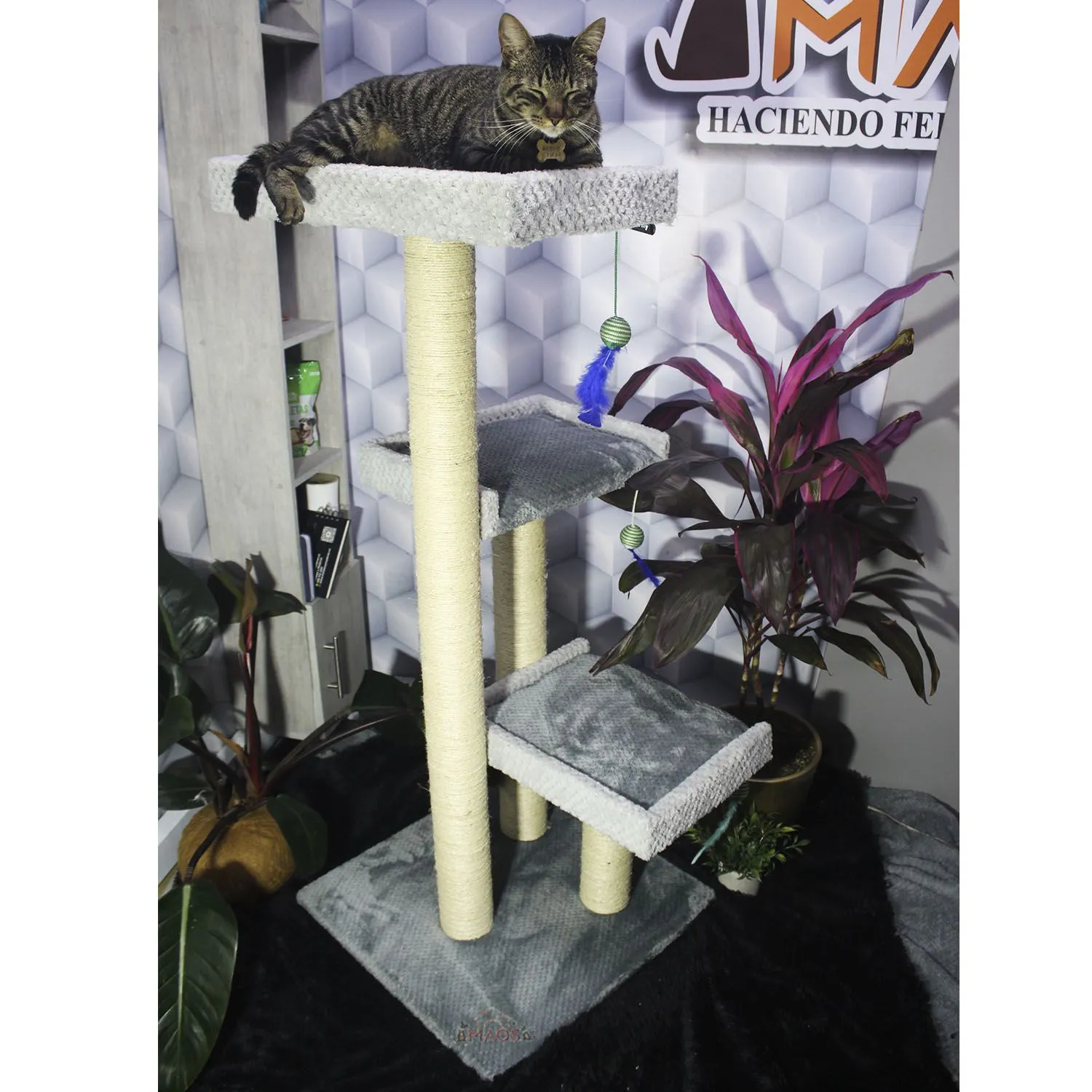 Gimnasio Rascador Para Gatos 55X55X130Cm Mediano 3