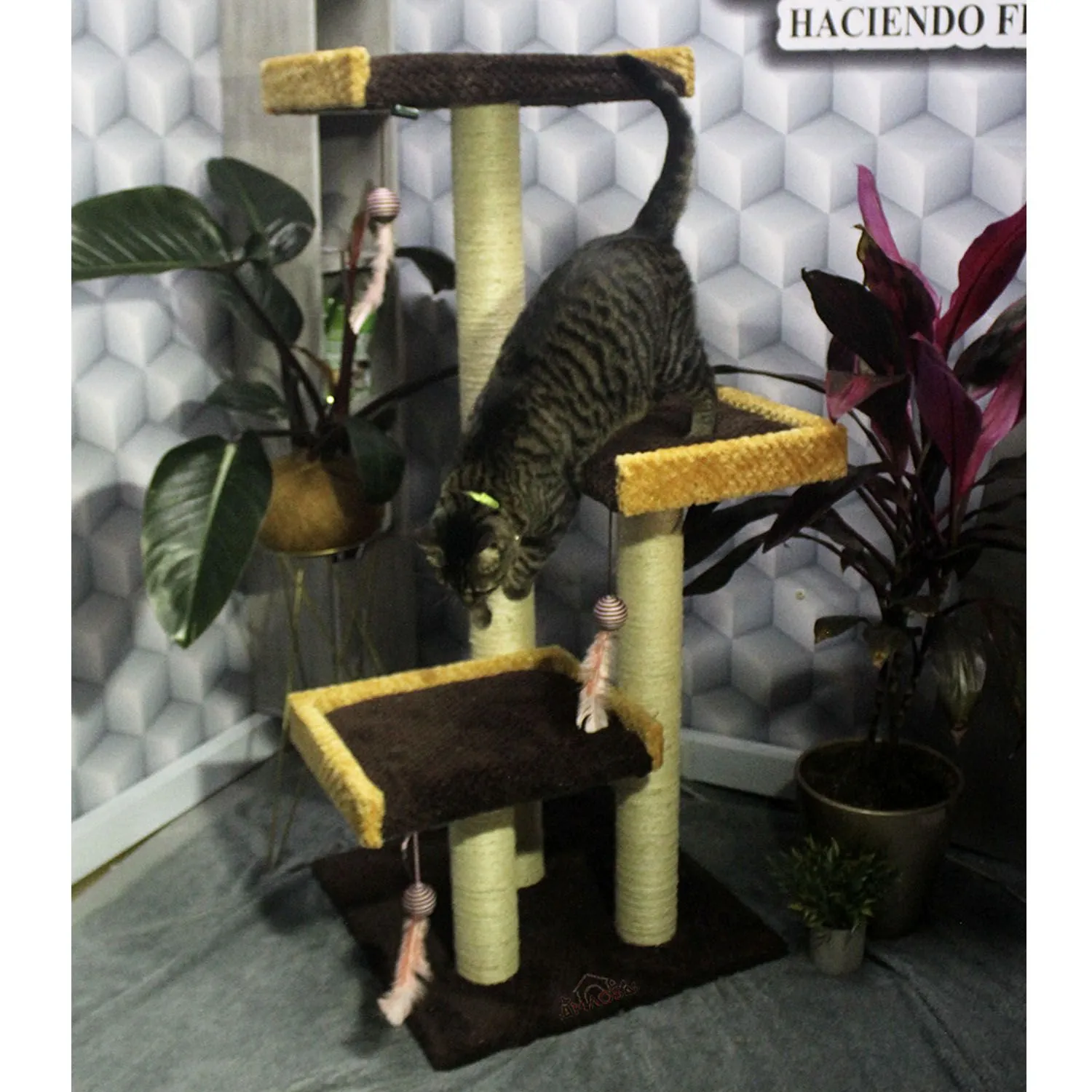 Gimnasio Rascador Para Gatos 55X55X130Cm Mediano Café 3