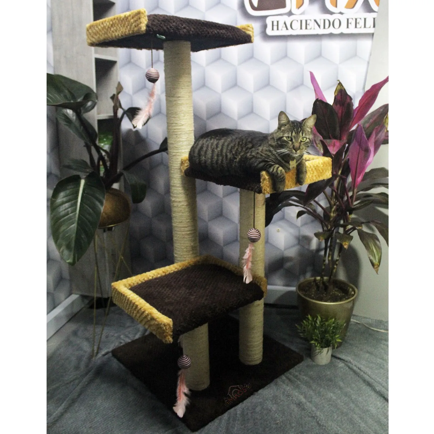 Gimnasio Rascador Para Gatos 55X55X130Cm Mediano Café 4